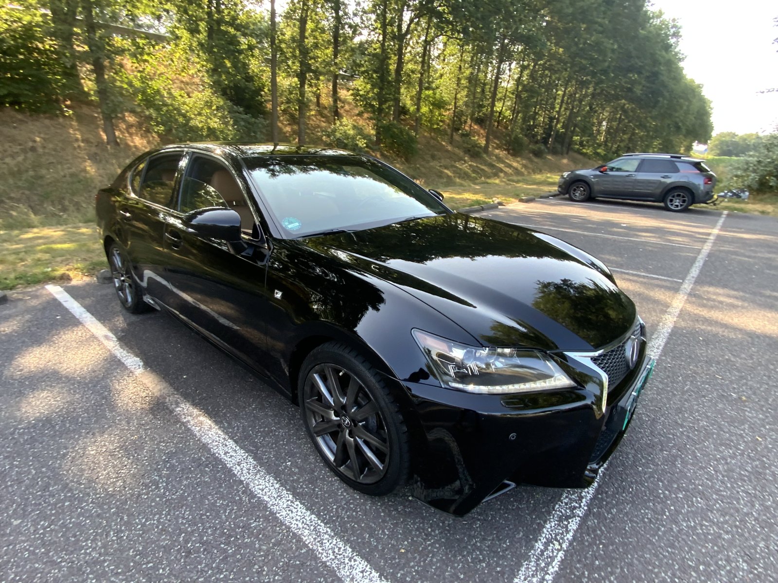 Inspectiefoto van Lexus GS