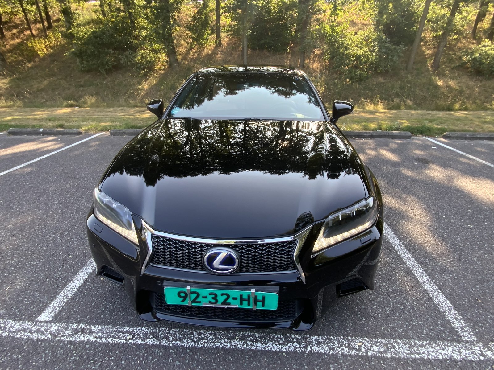 Inspectiefoto van Lexus GS