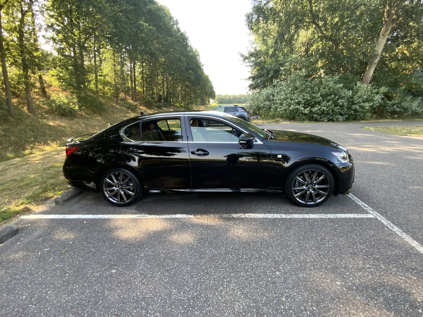 Inspectiefoto van Lexus GS