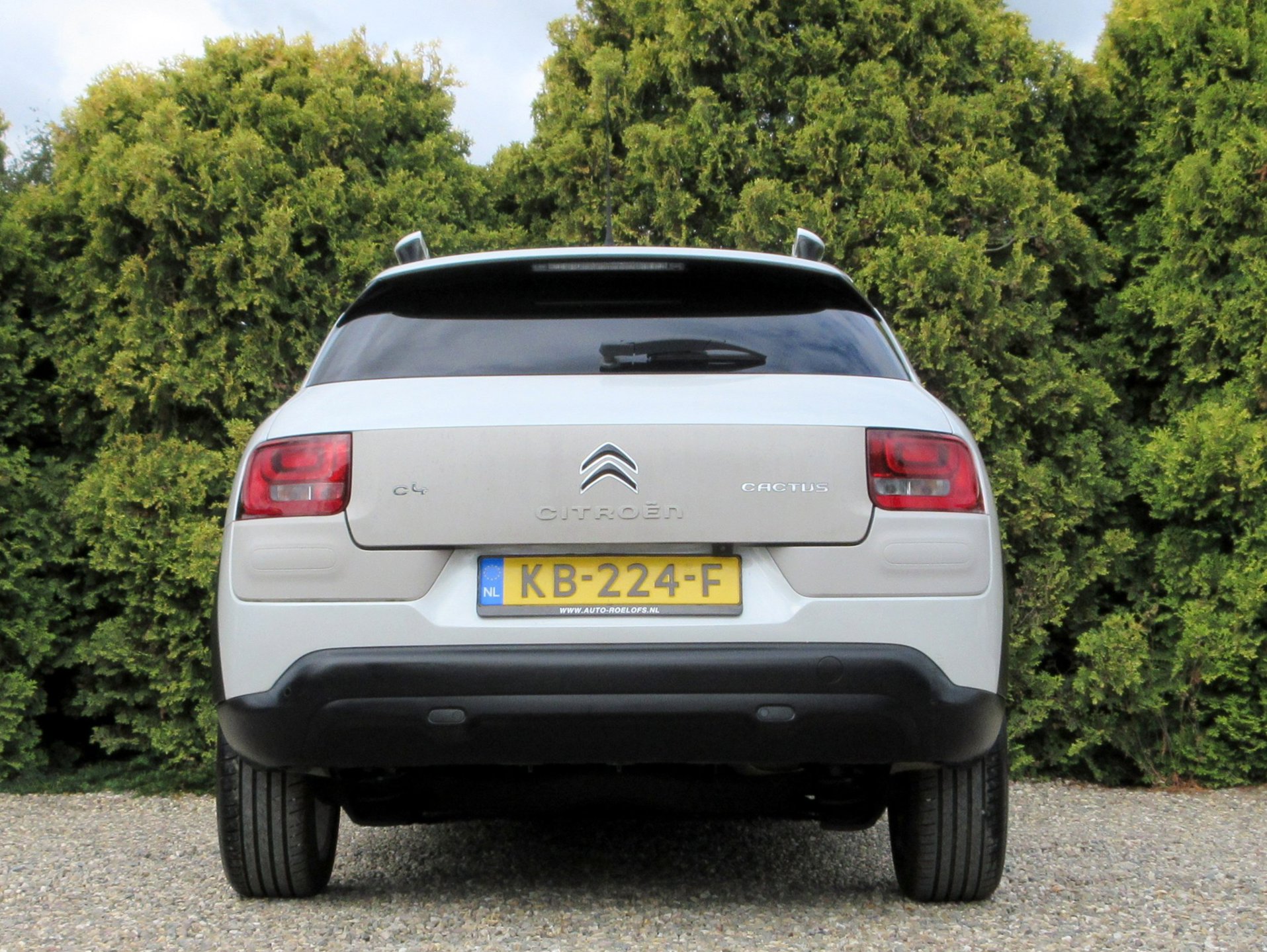 Foto van Citroen C4 Cactus