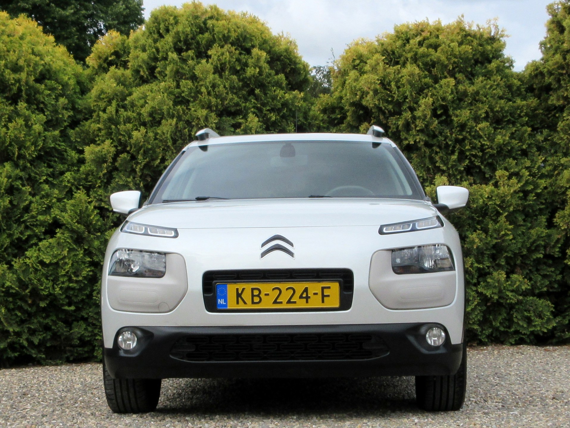 Foto van Citroen C4 Cactus
