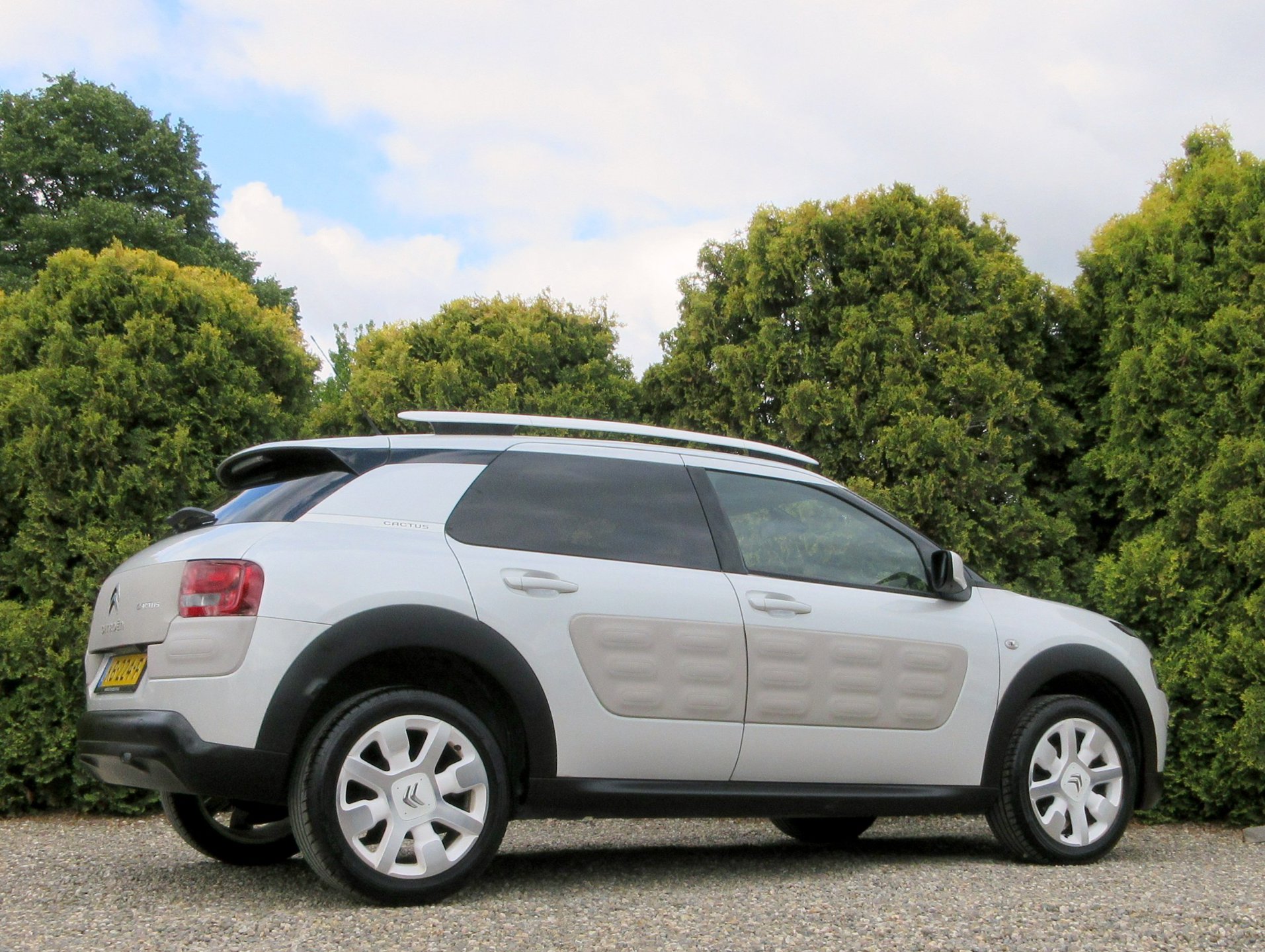 Foto van Citroen C4 Cactus