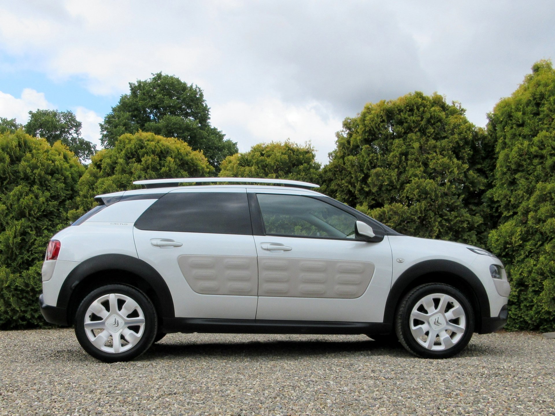 Foto van Citroen C4 Cactus