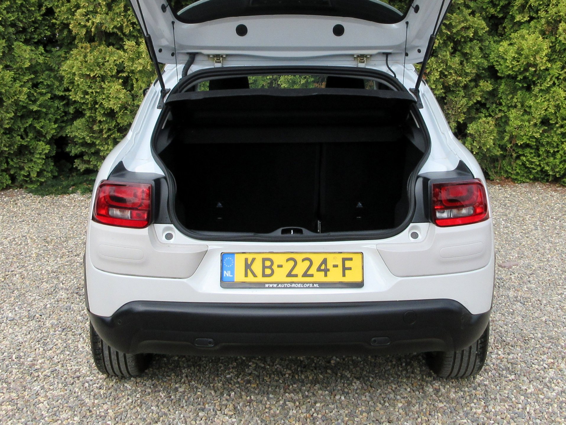 Foto van Citroen C4 Cactus