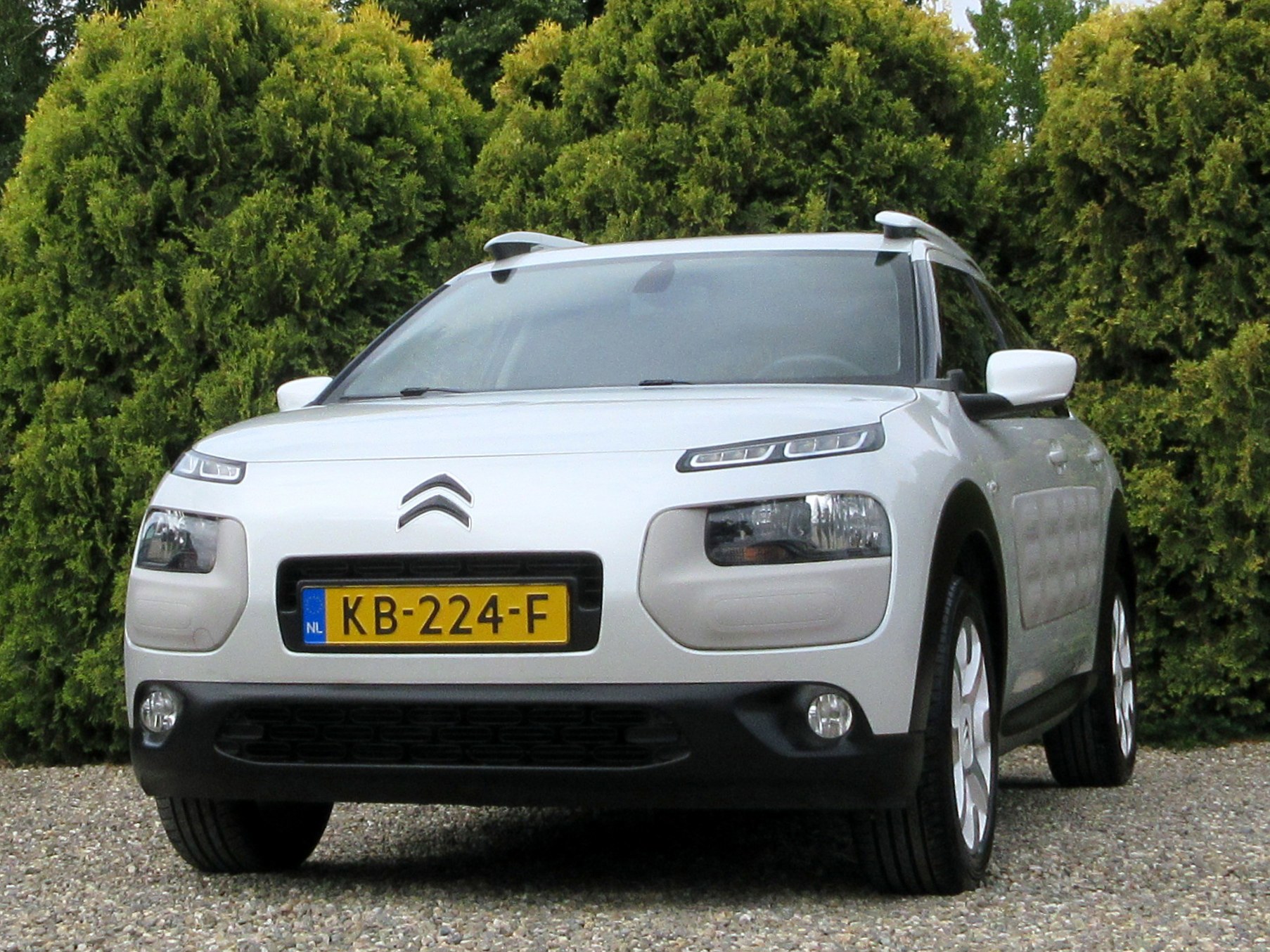 Foto van Citroen C4 Cactus