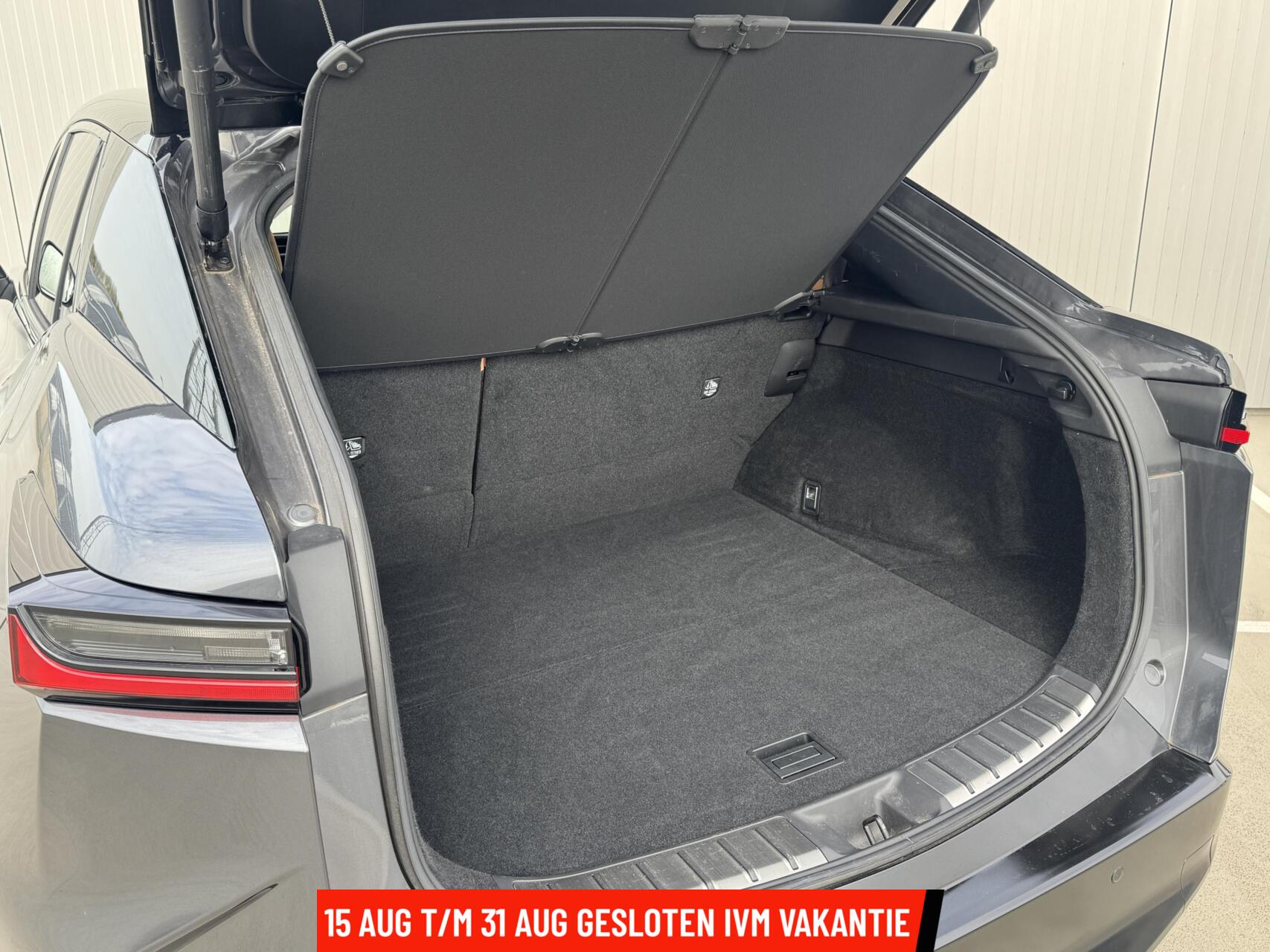 Foto van Lexus Lexus Rz450e