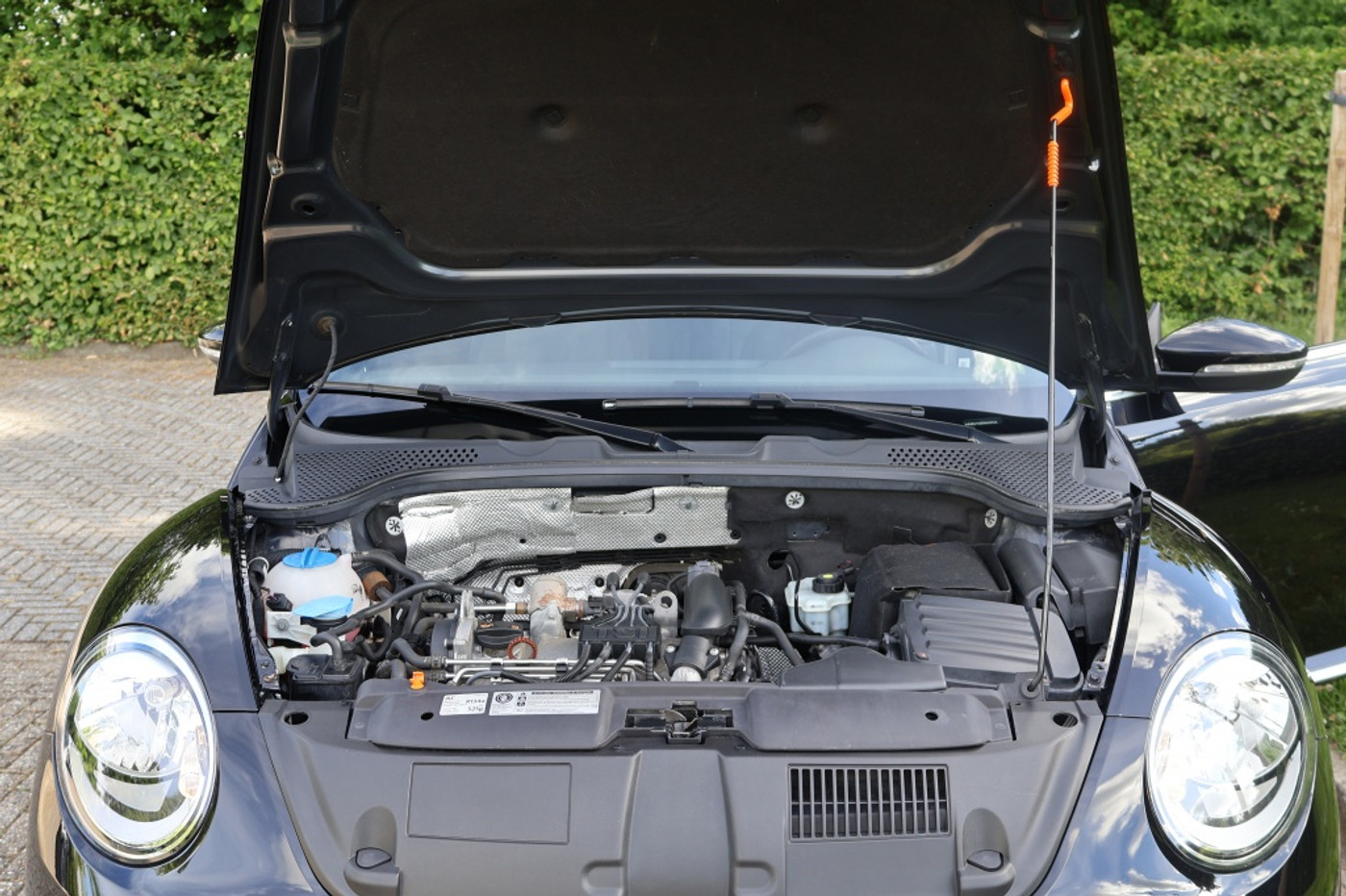 Foto van Volkswagen Beetle