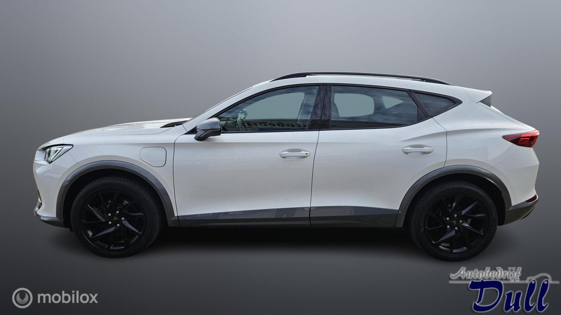 Foto van Cupra Formentor E-hybrid