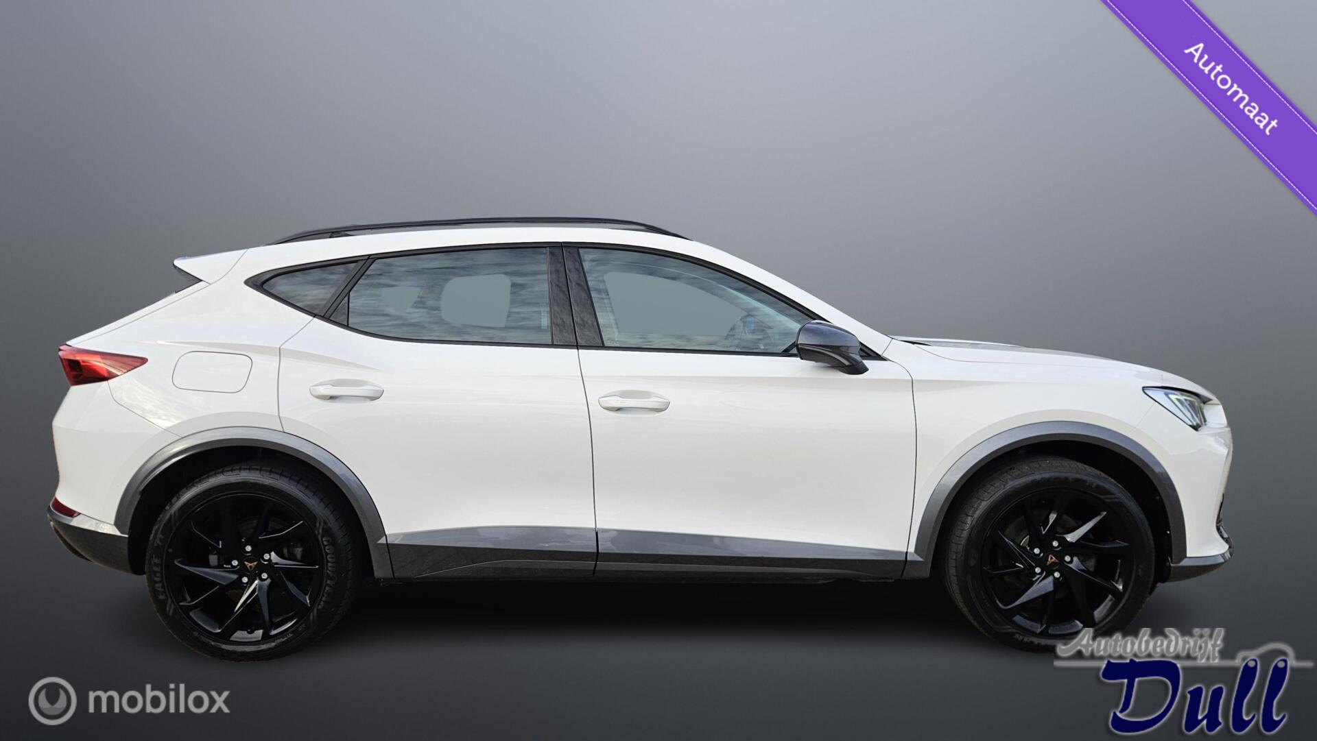 Foto van Cupra Formentor E-hybrid