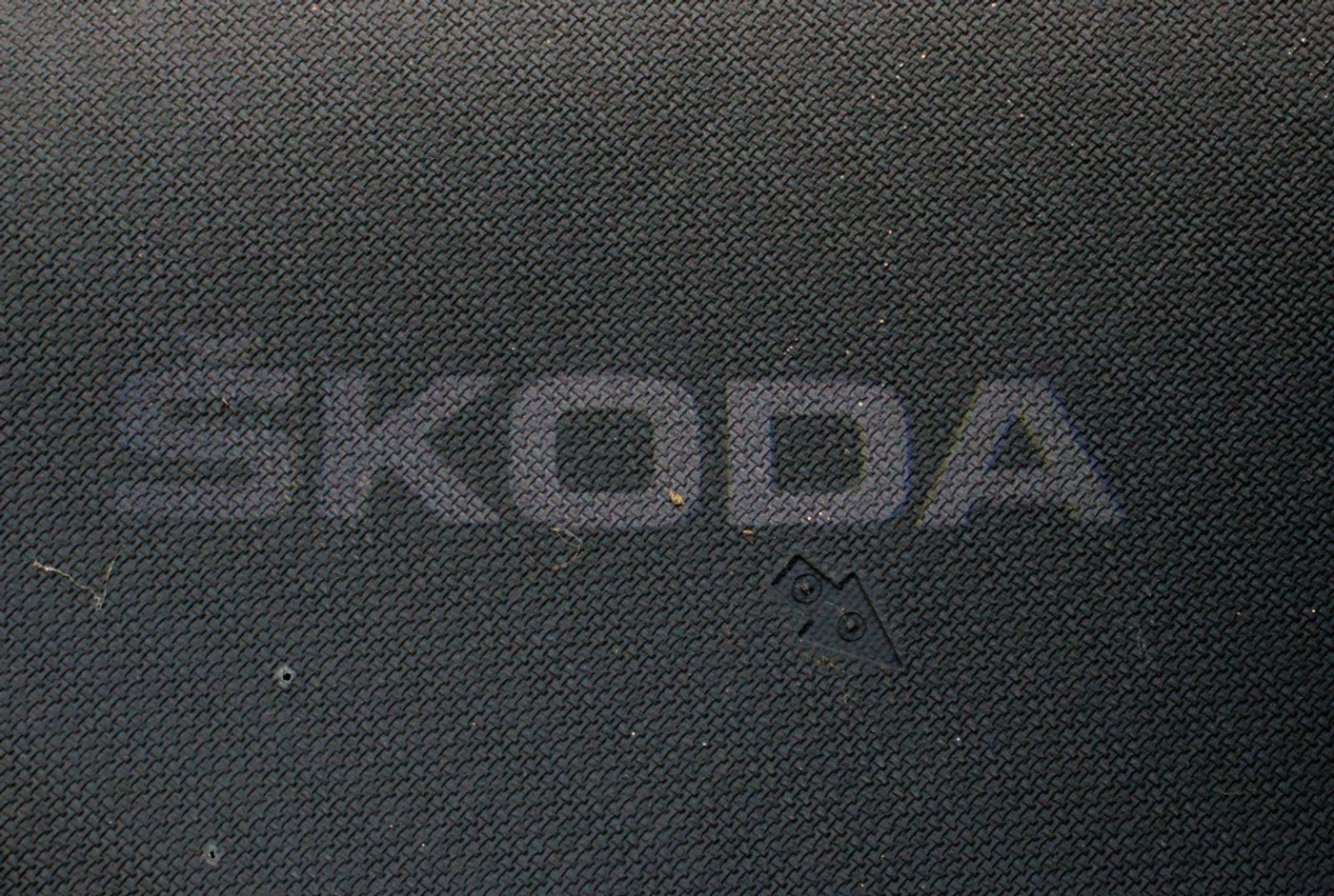 Foto van Skoda Kodiaq