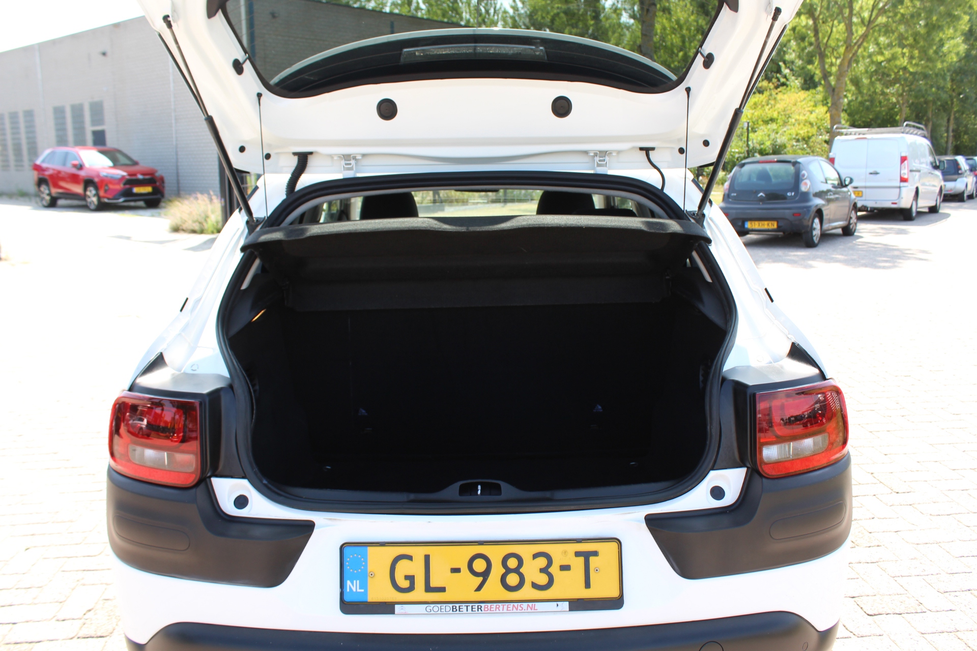 Foto van Citroen C4 Cactus