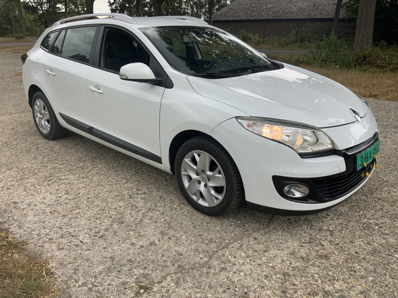Inspectiefoto van Renault Mégane Estate