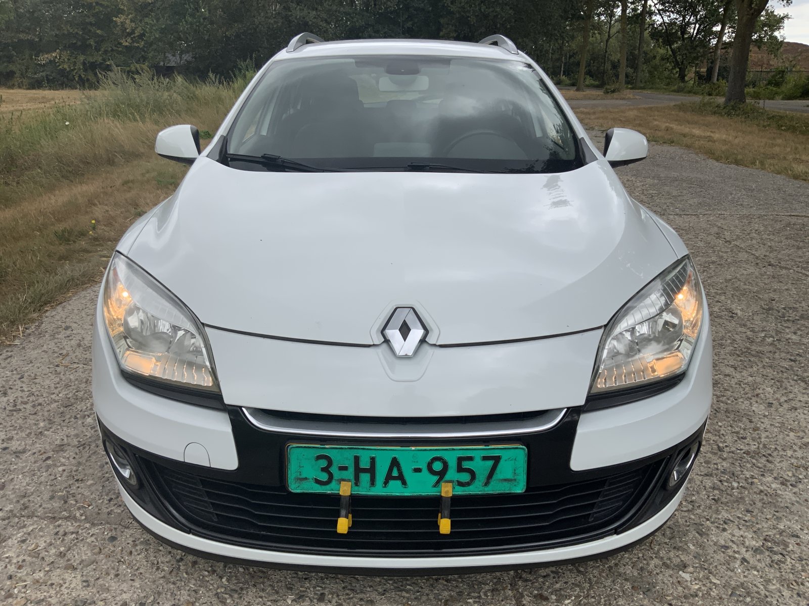 Inspectiefoto van Renault Mégane Estate