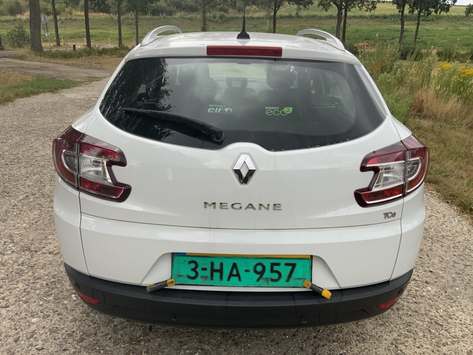 Inspectiefoto van Renault Mégane Estate