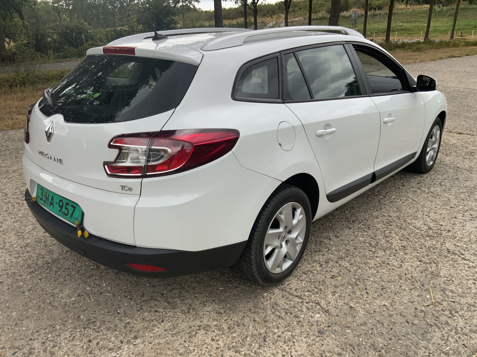 Inspectiefoto van Renault Mégane Estate