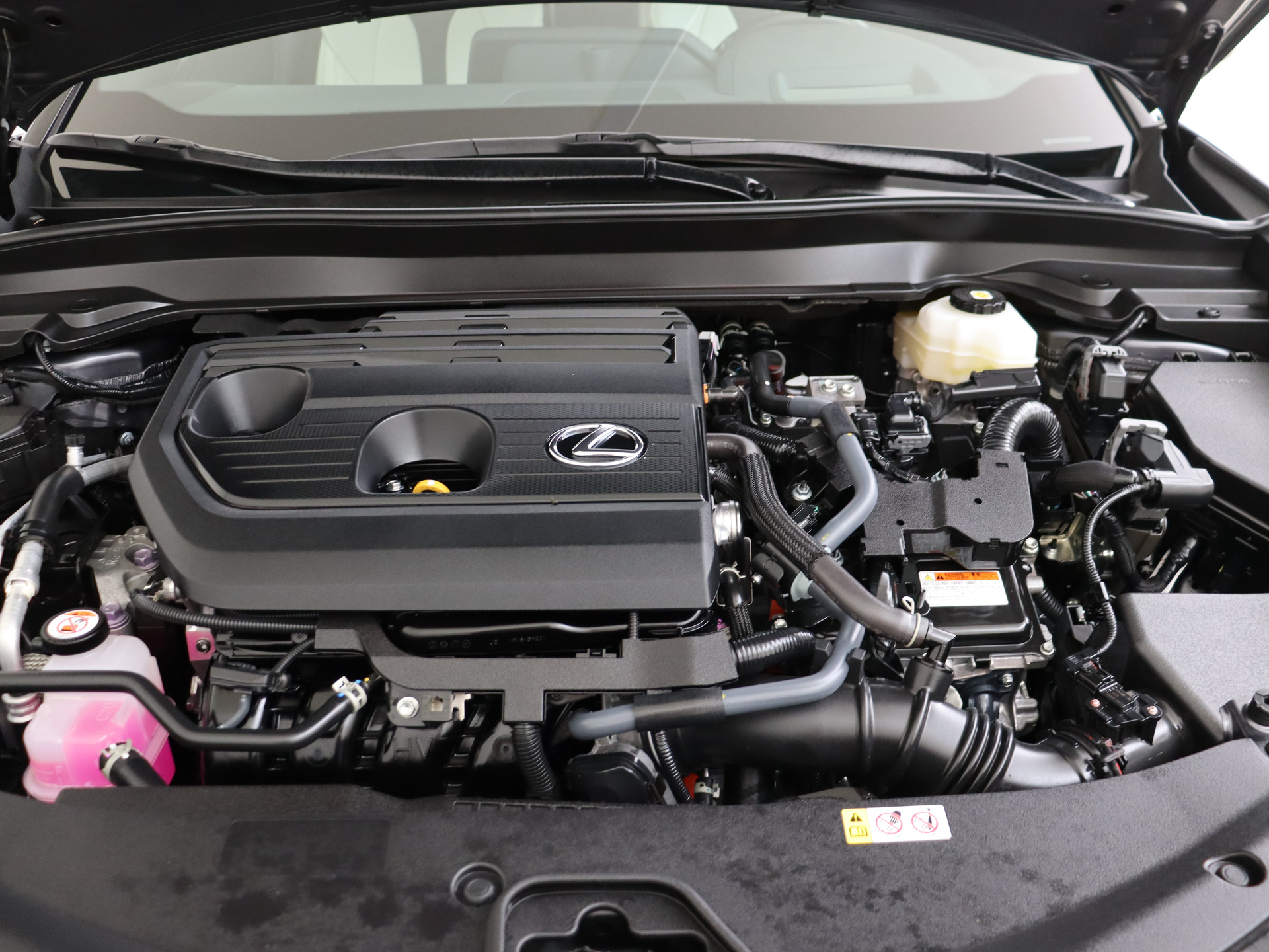 Foto van Lexus Lexus Ux300h