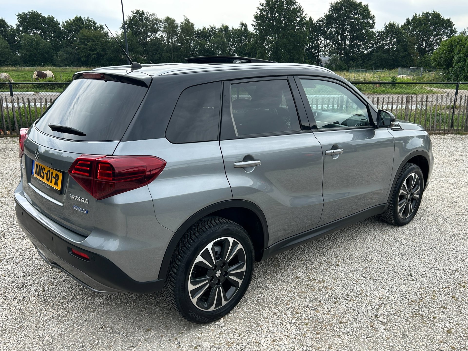 Foto van Suzuki Vitara