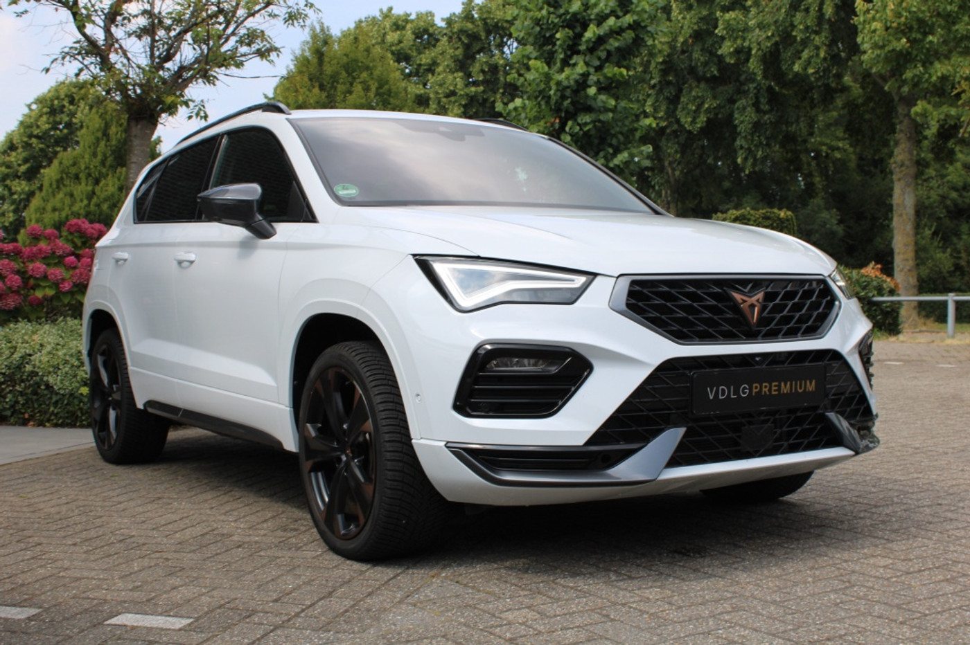 Foto van Cupra Ateca