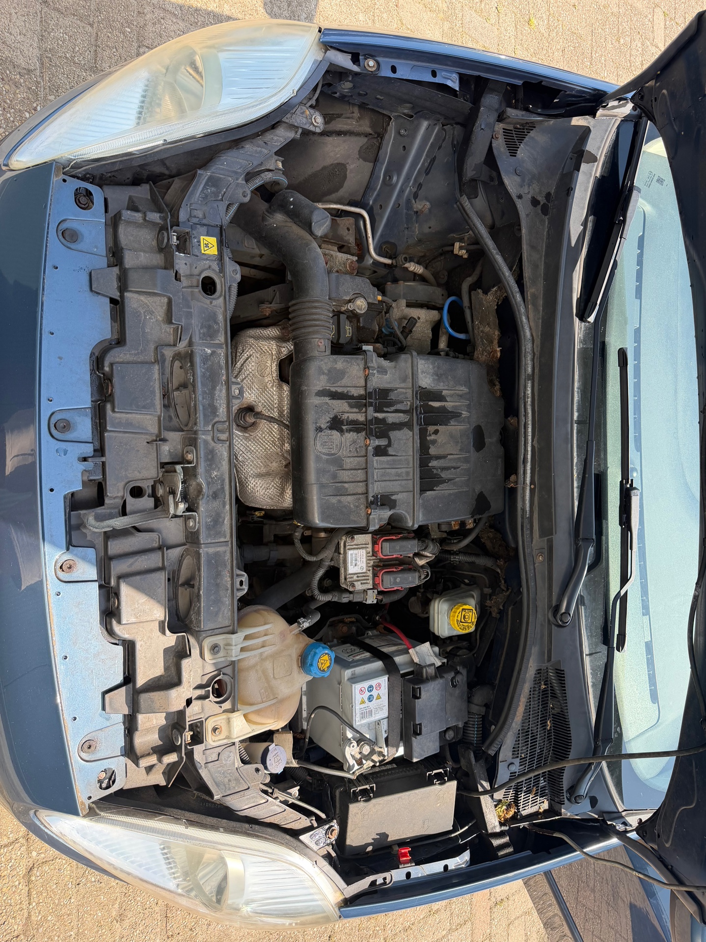 Foto van Fiat Fiat Punto