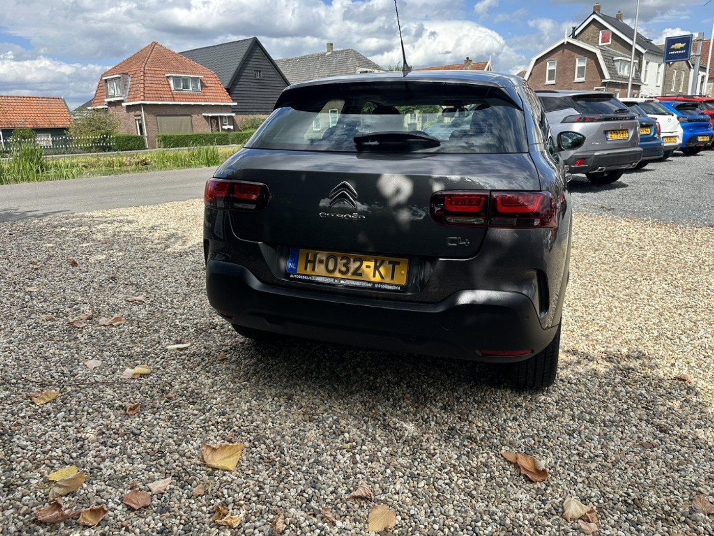 Foto van Citroen C4 Cactus