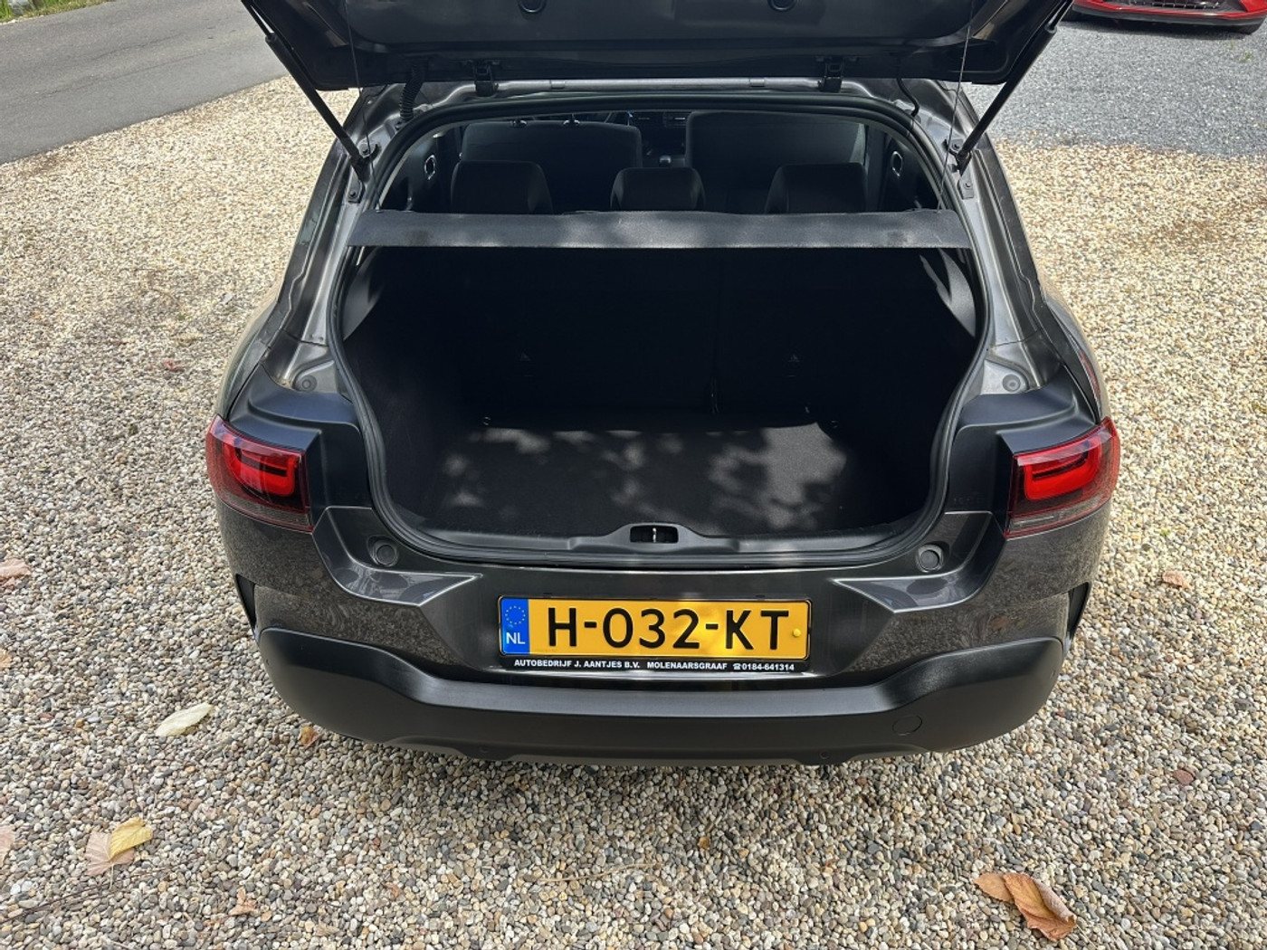 Foto van Citroen C4 Cactus