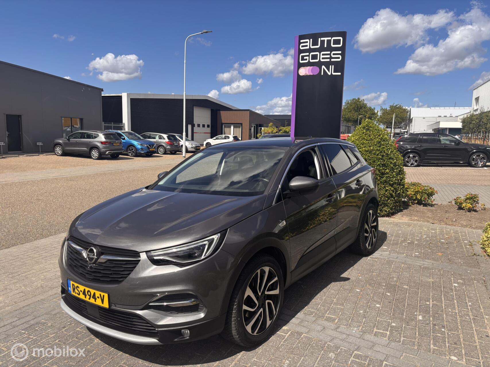 Foto van Opel Grandland X
