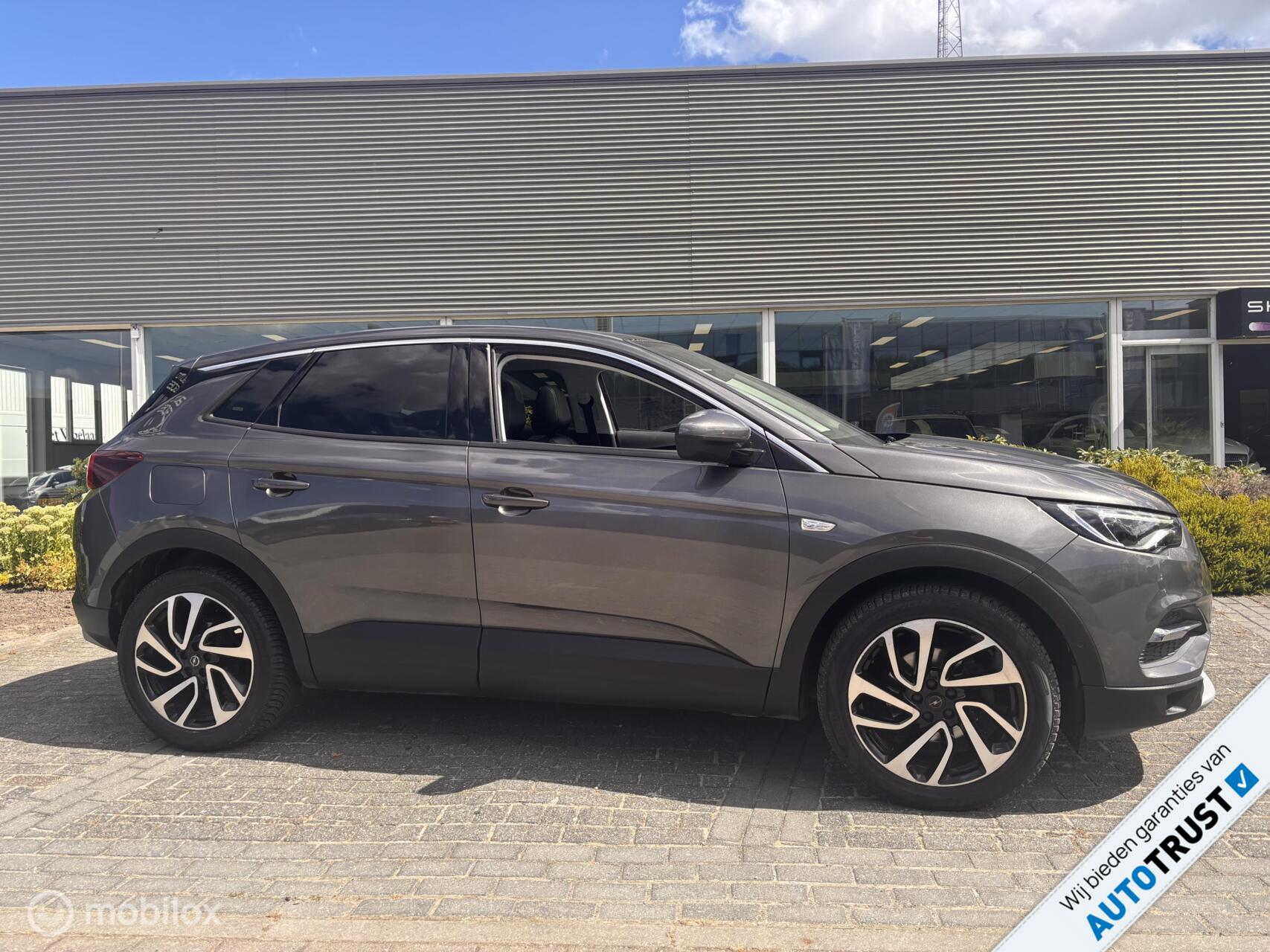 Foto van Opel Grandland X