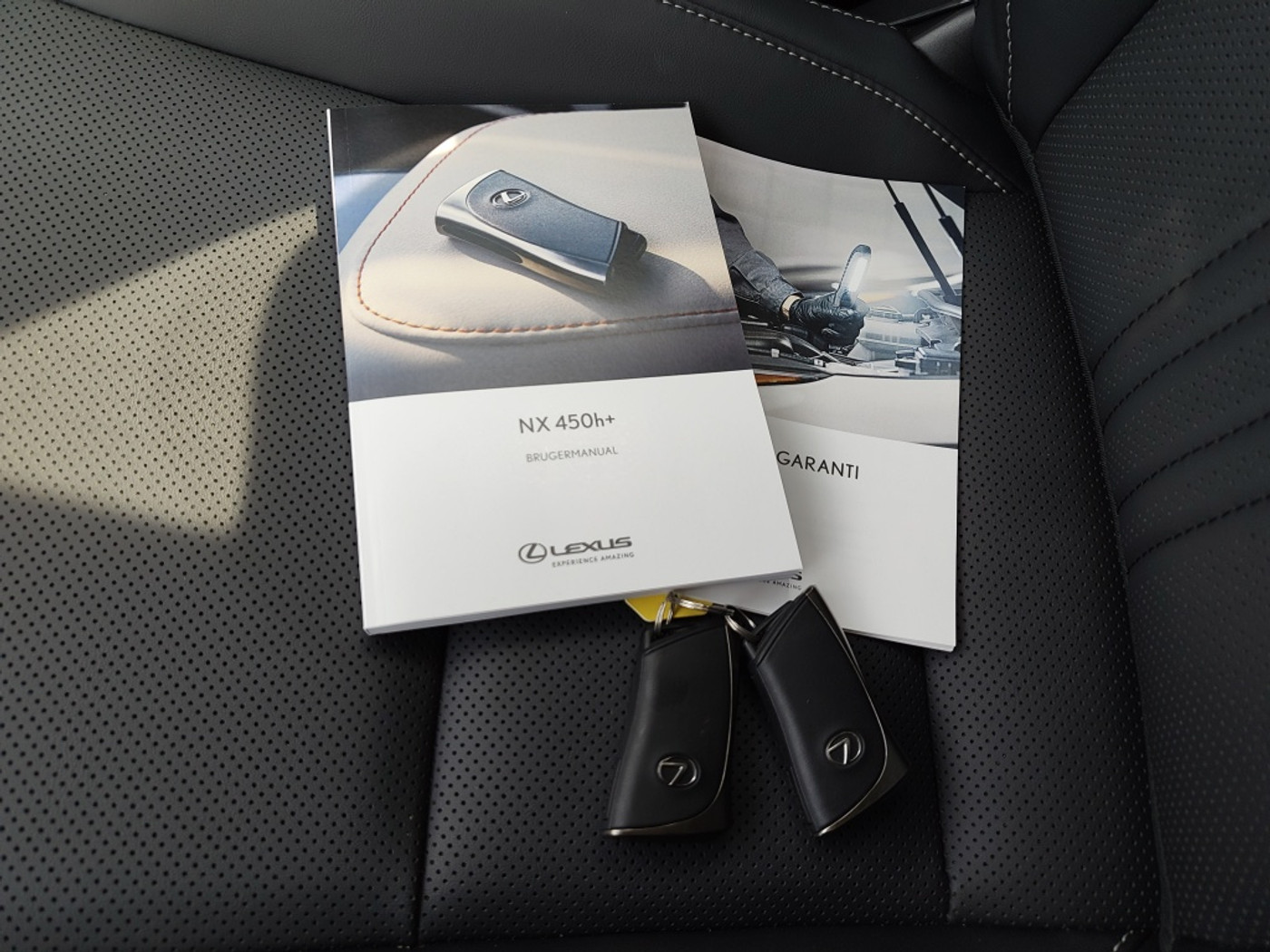 Foto van Lexus Lexus Nx450h+