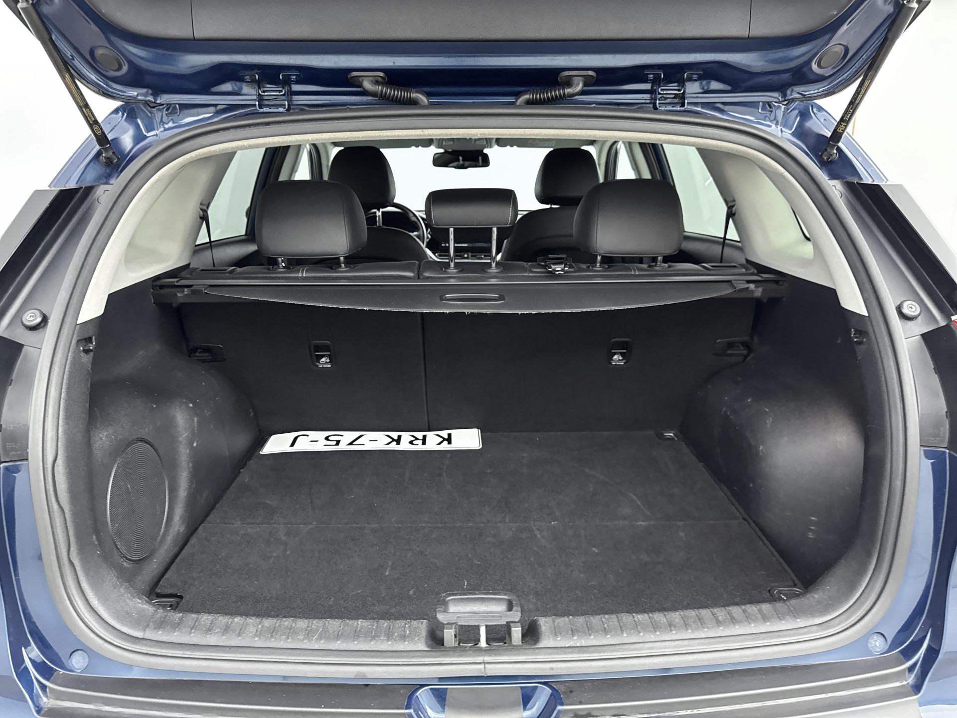 Foto van Kia Niro