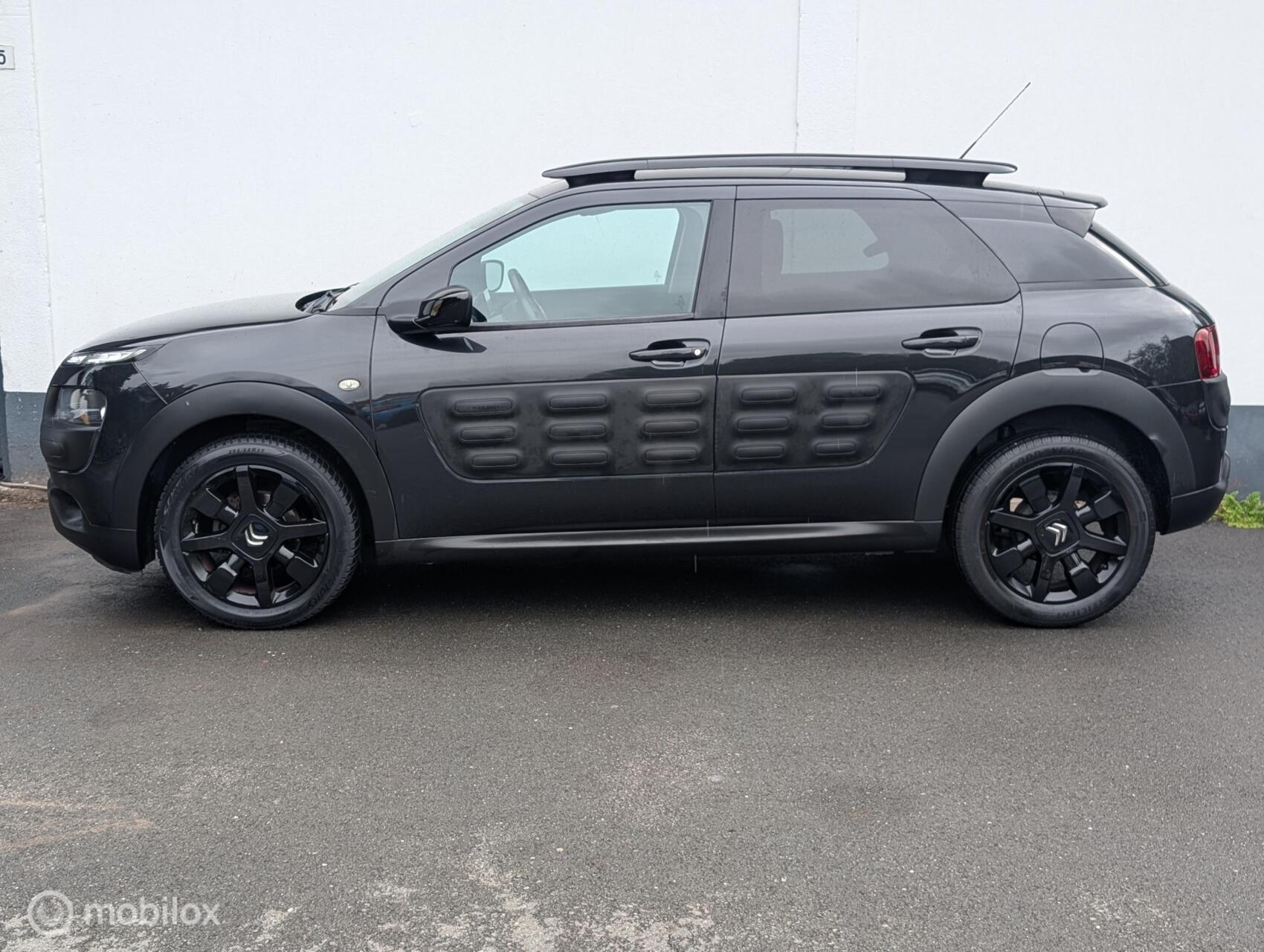 Foto van Citroen C4 Cactus