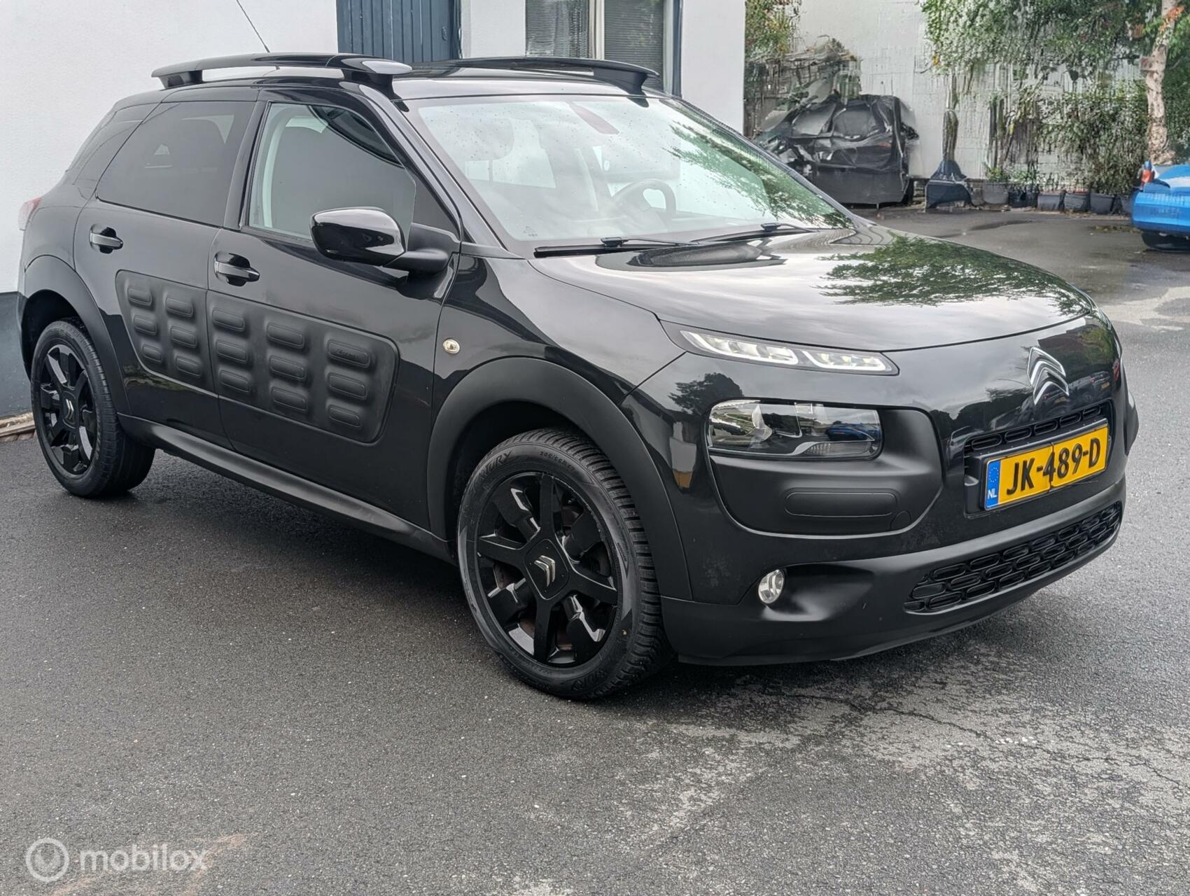 Foto van Citroen C4 Cactus