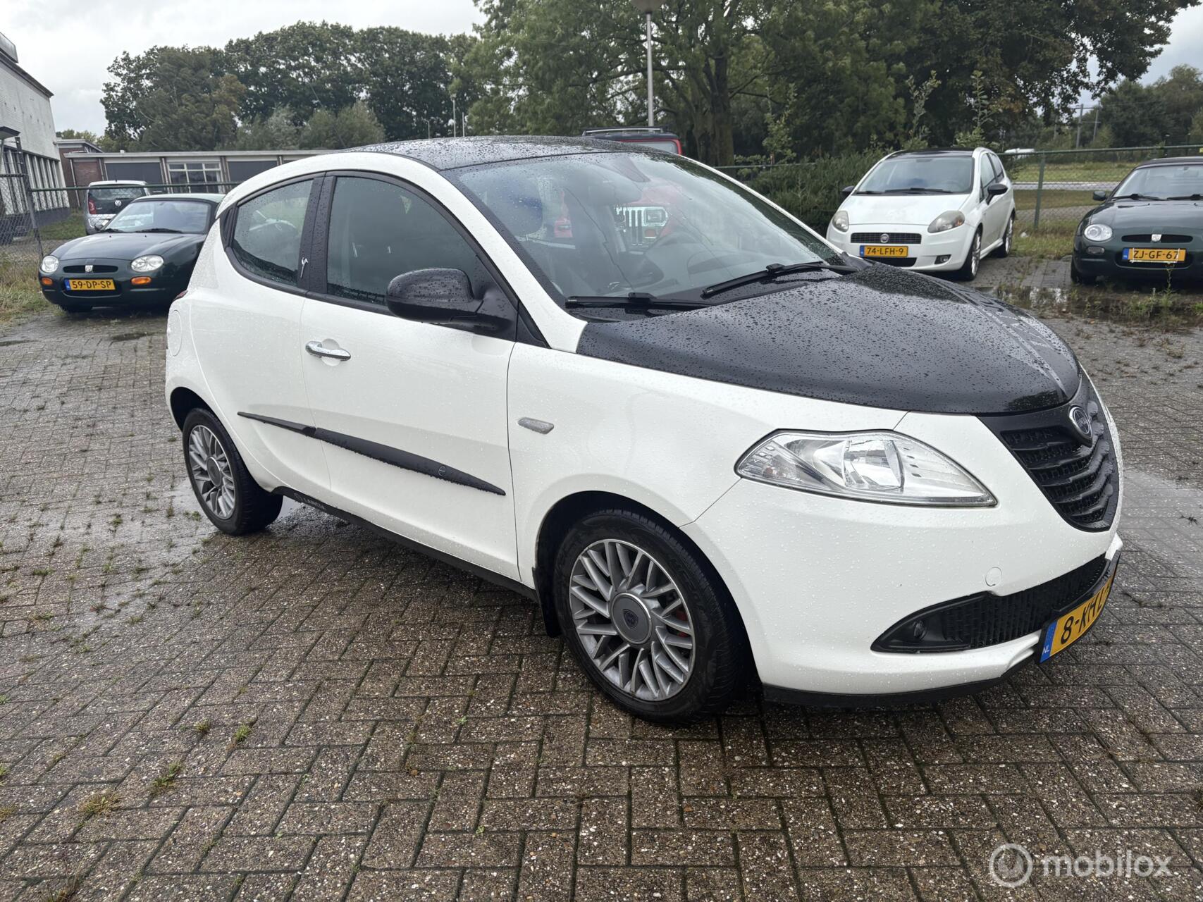 Lancia Ypsilon 0.9 TwinAir Silver 2013 - voorkant