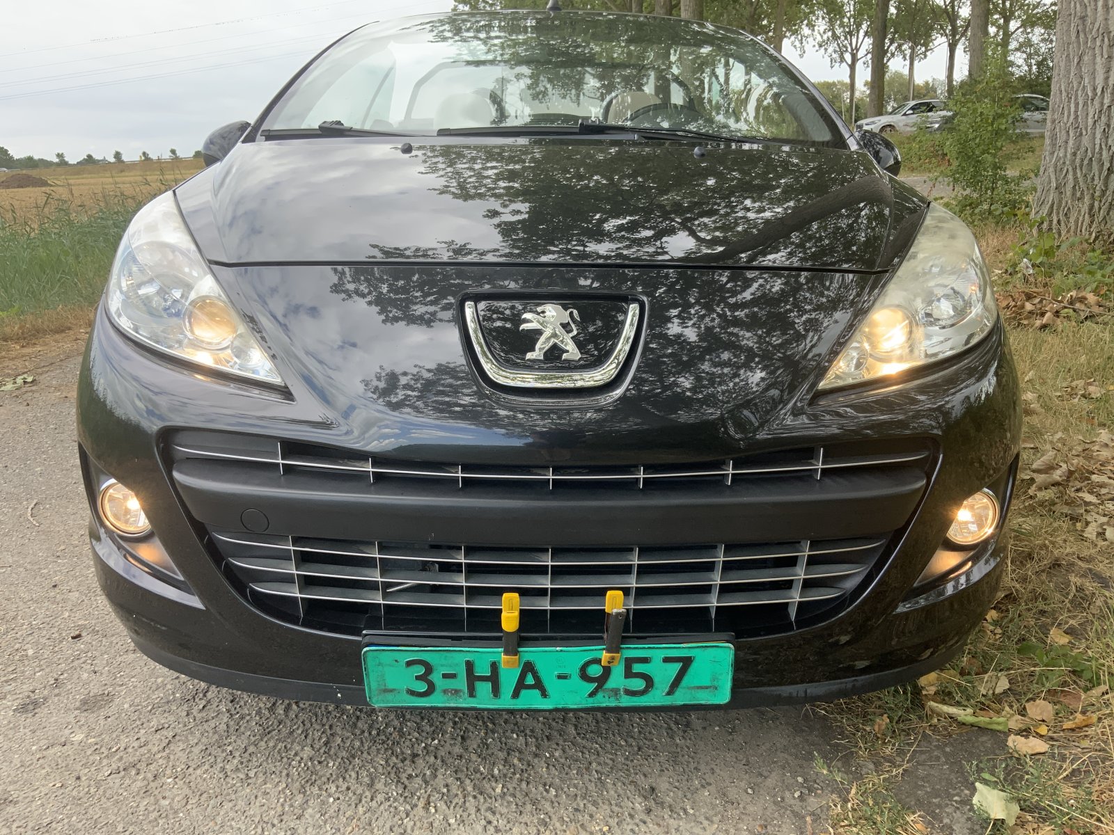 Inspectiefoto van Peugeot 207 CC