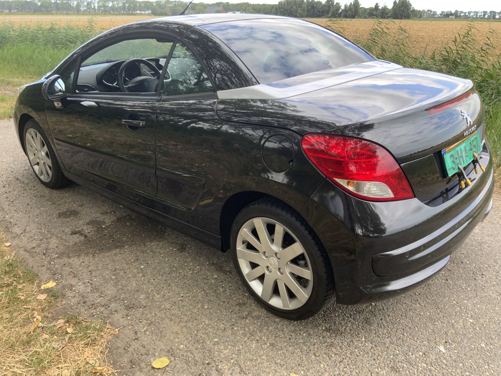 Inspectiefoto van Peugeot 207 CC
