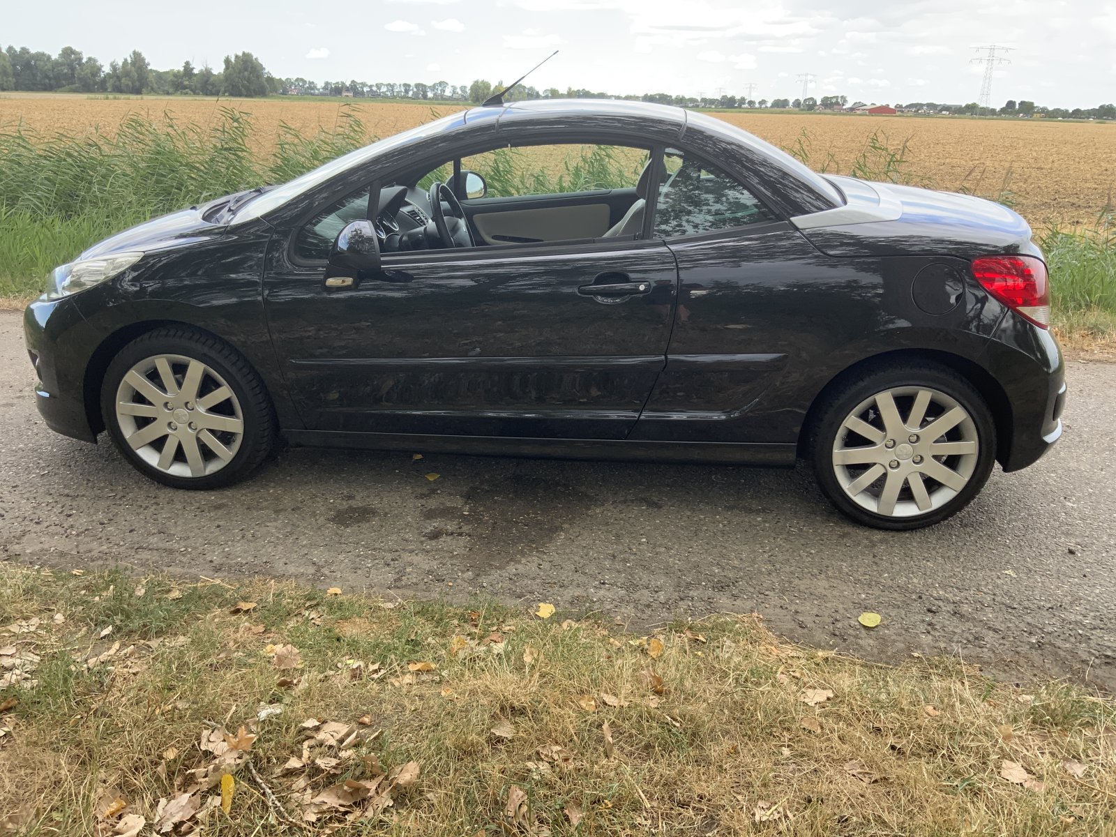 Inspectiefoto van Peugeot 207 CC