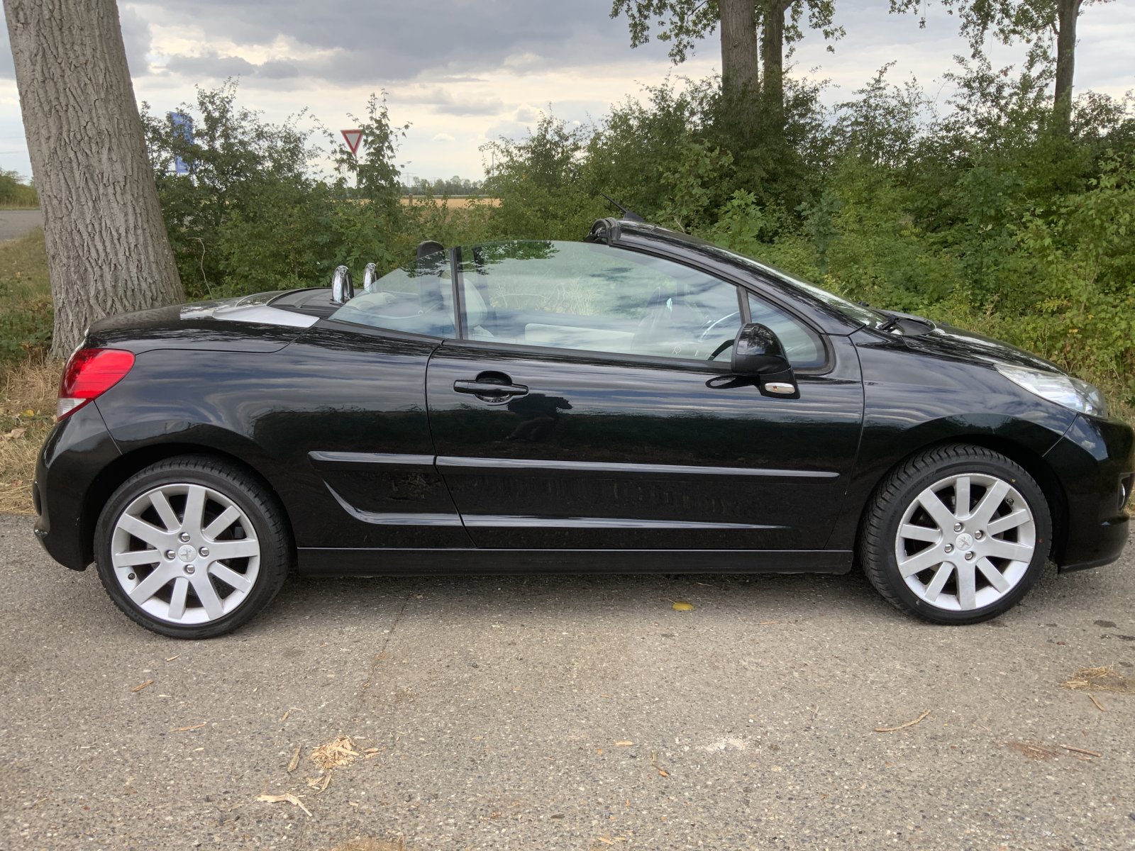 Inspectiefoto van Peugeot 207 CC