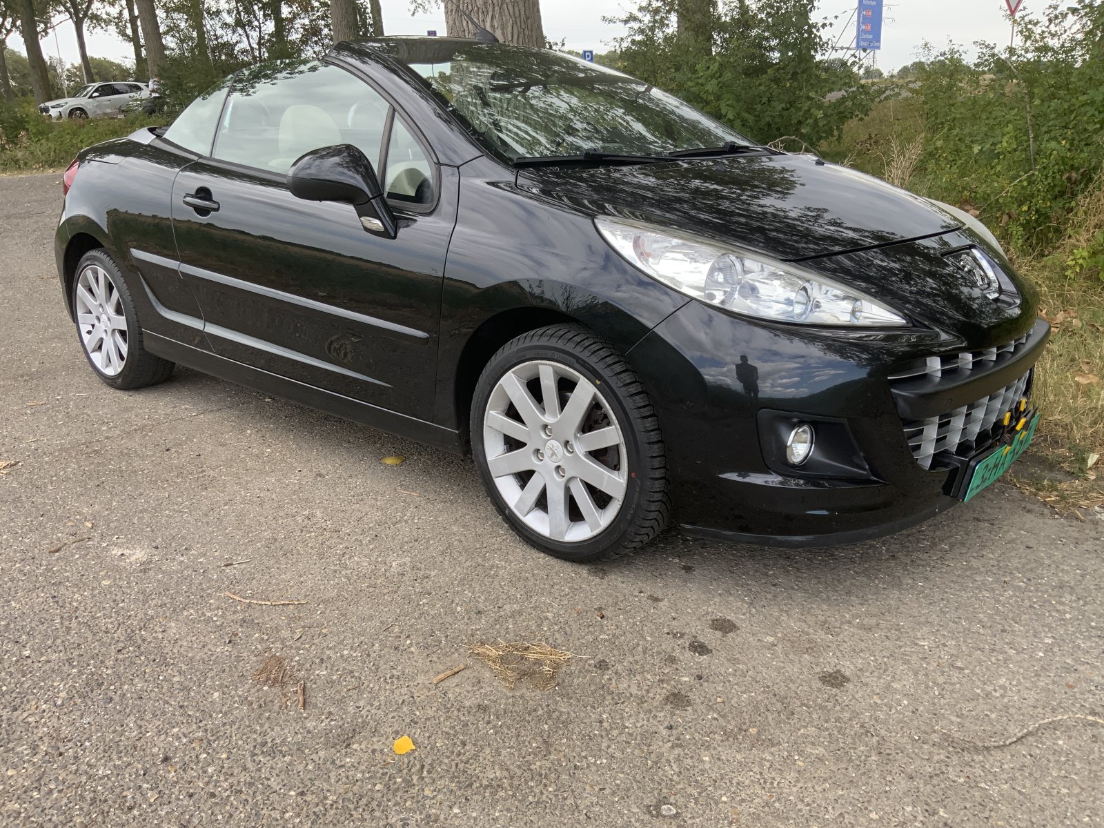 Inspectiefoto van Peugeot 207 CC