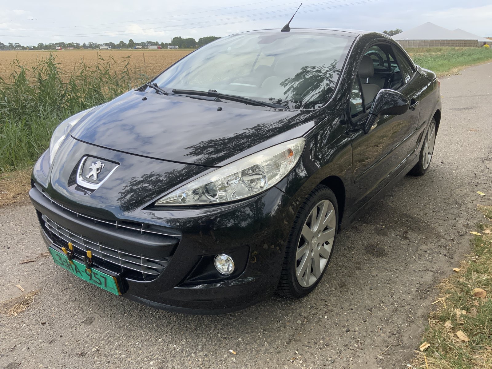 Peugeot 207 CC 1.6 VTi Roland G. 2012 - voorkant