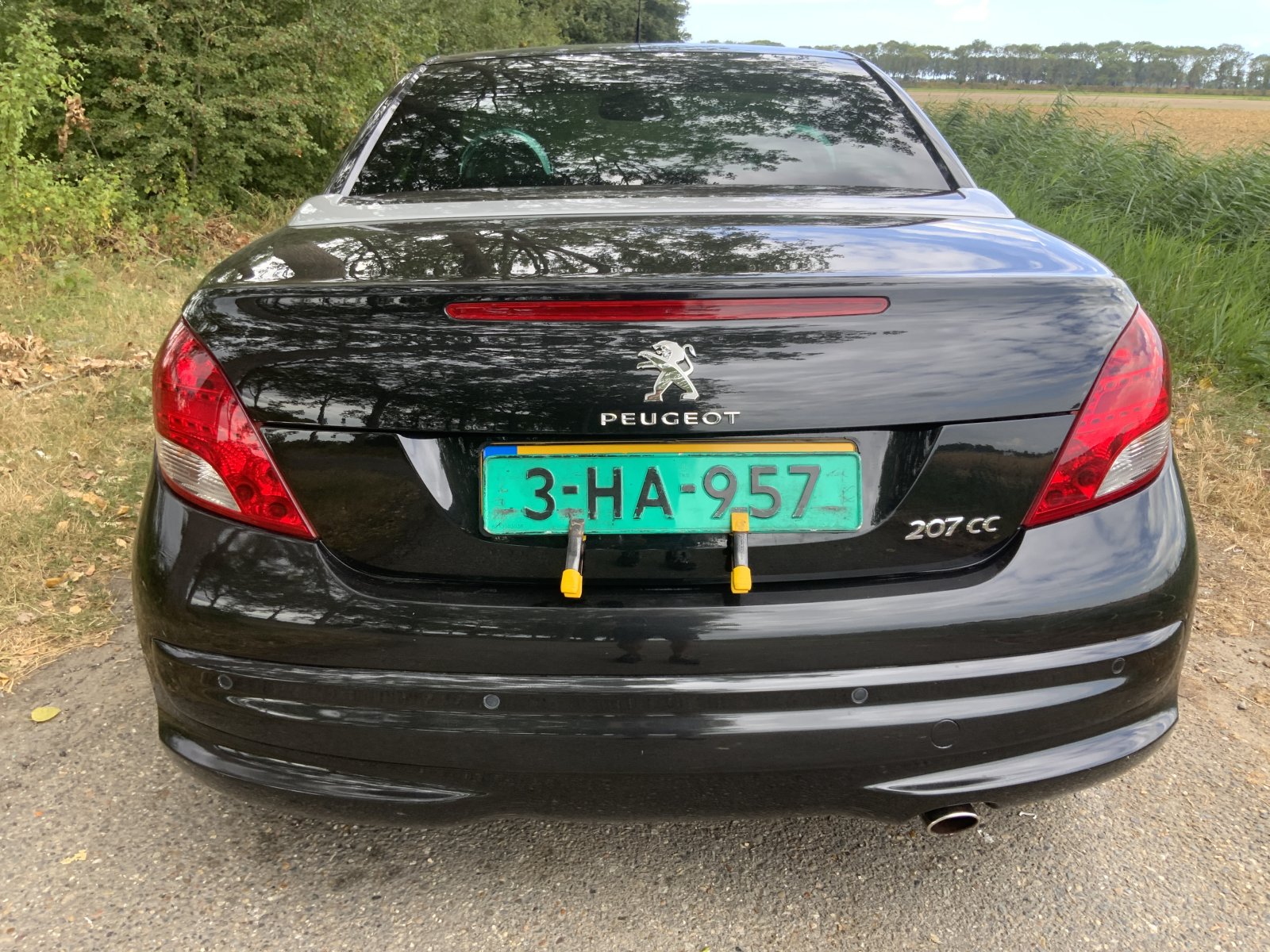 Inspectiefoto van Peugeot 207 CC
