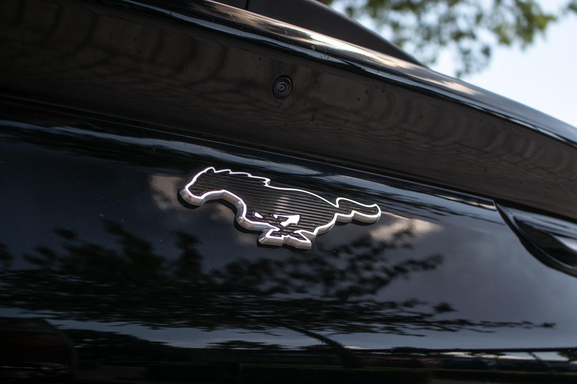 Foto van Ford Mustang Mach-e