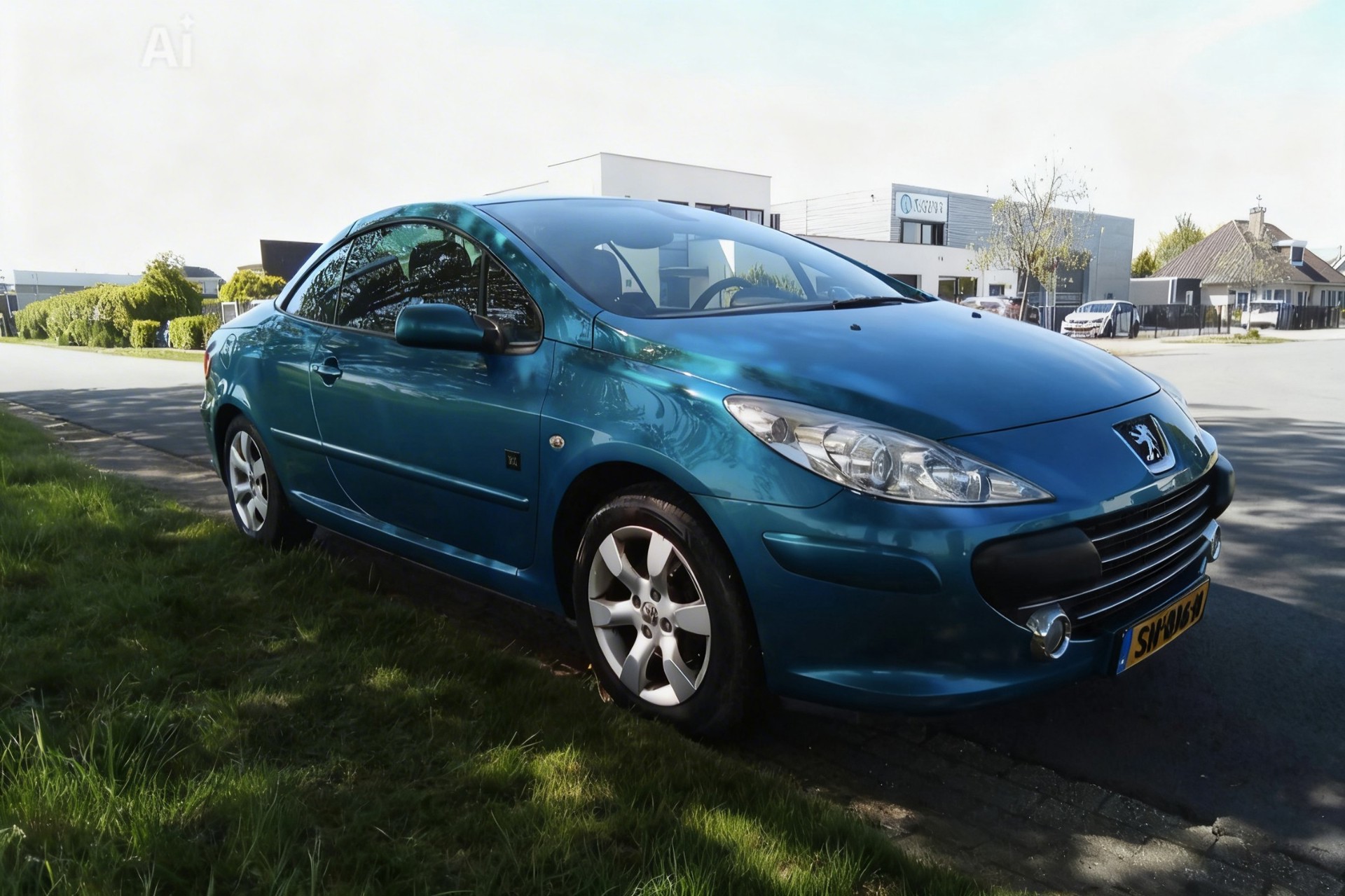 Foto van Peugeot 307 CC