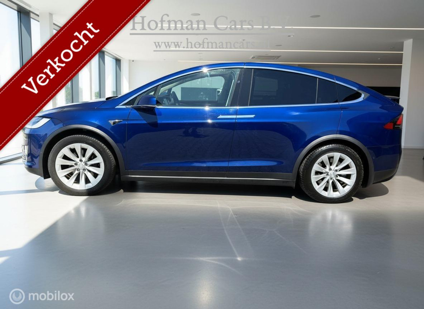 Foto van Tesla Model X