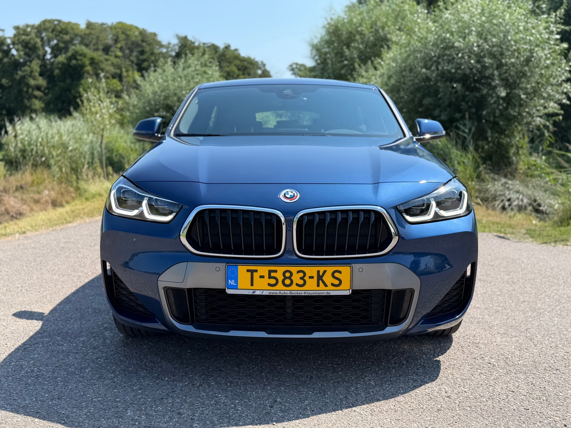 Foto van BMW X2 Xdrive25e
