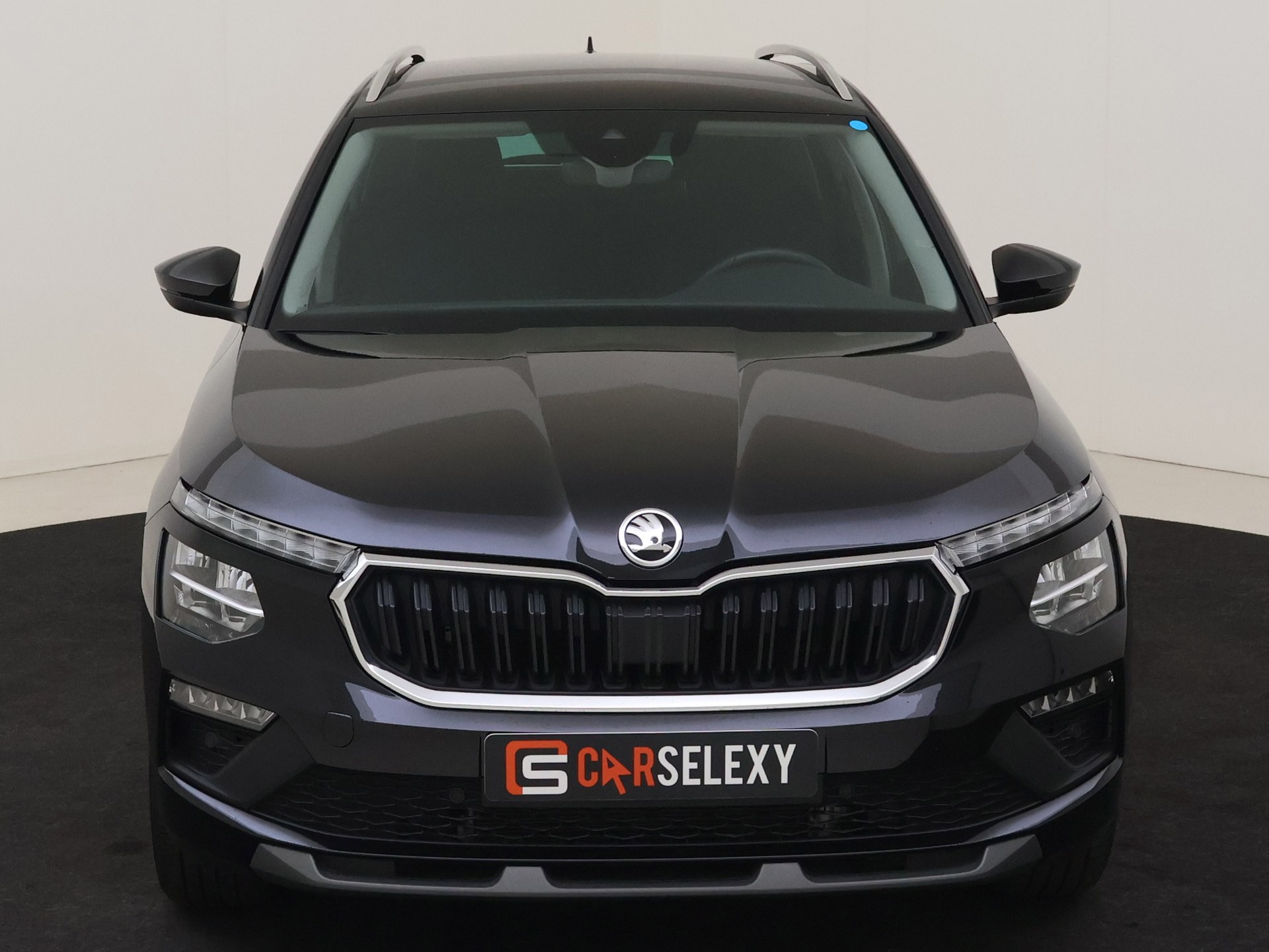 Foto van Skoda Kamiq