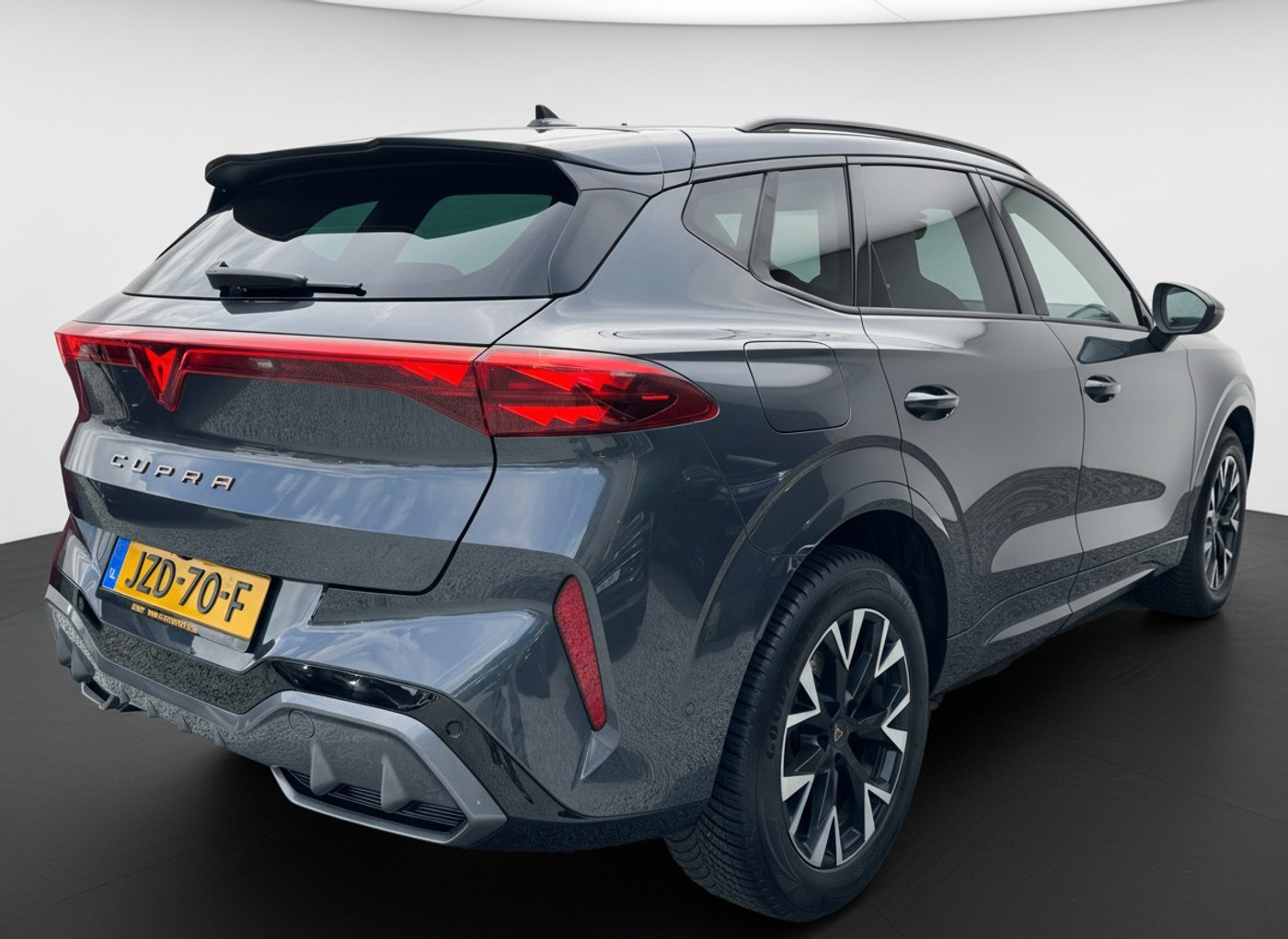 Foto van Cupra Terramar