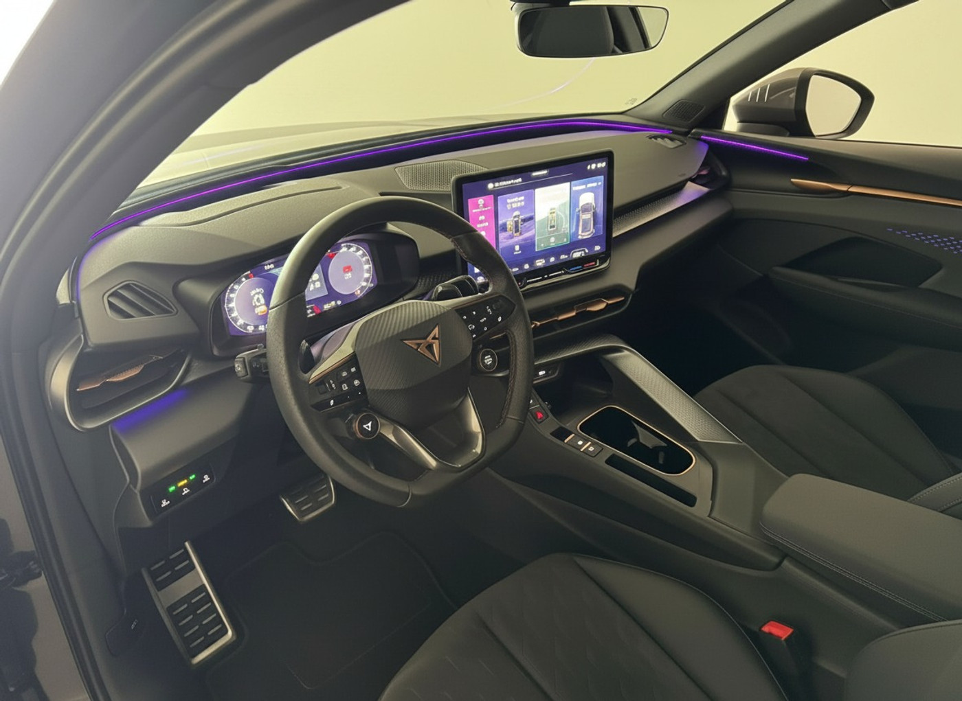 Foto van Cupra Terramar