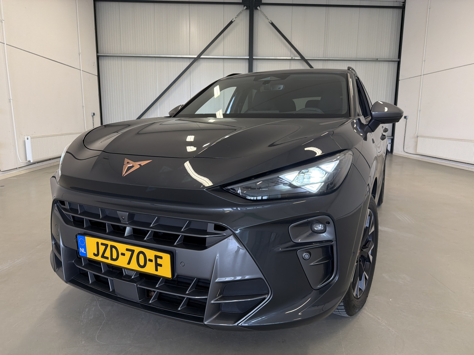 Foto van Cupra Terramar