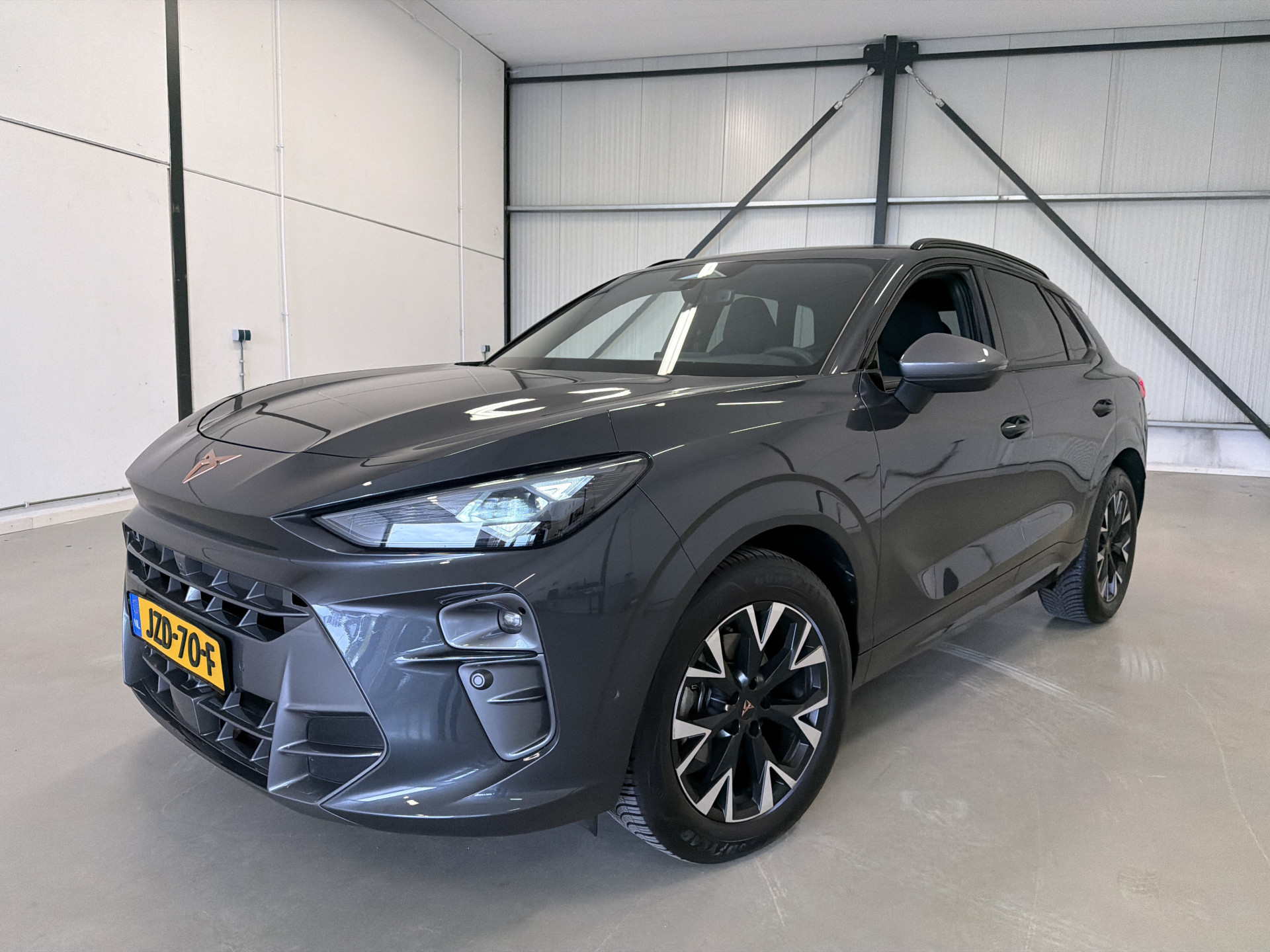 Foto van Cupra Terramar