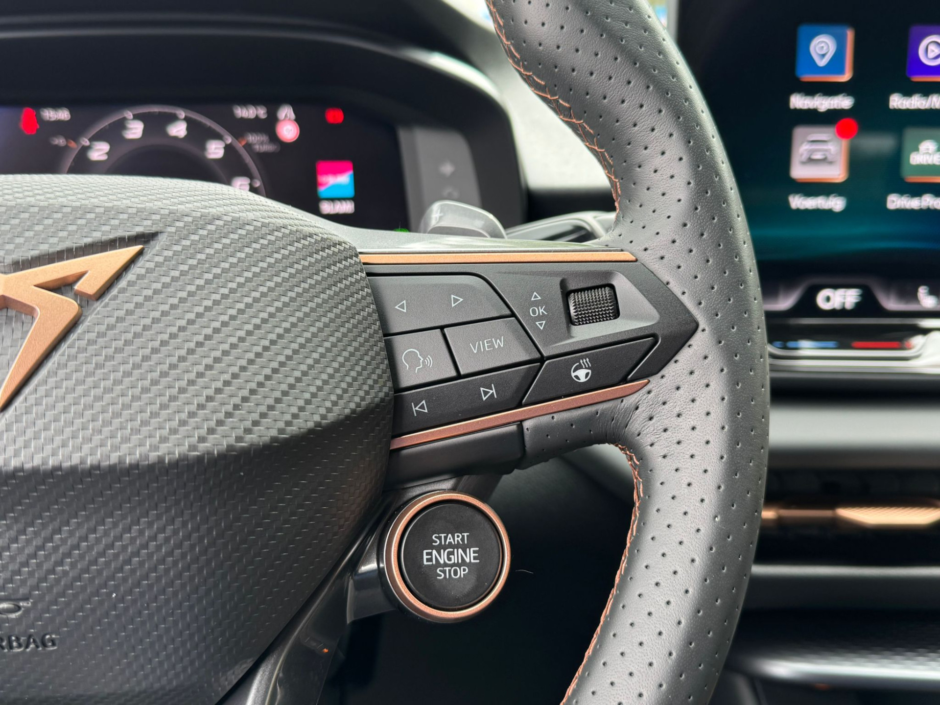 Foto van Cupra Terramar