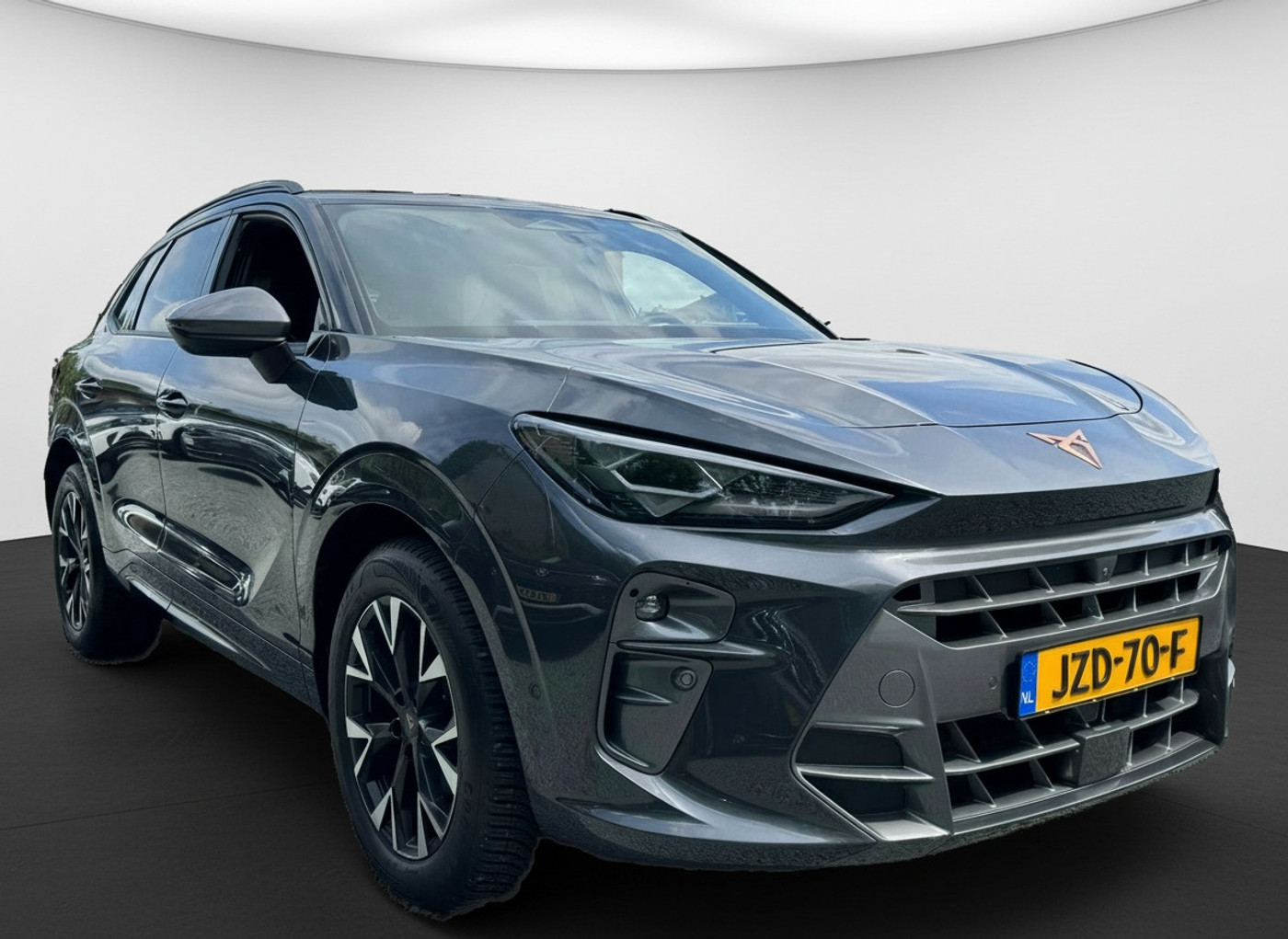 Foto van Cupra Terramar
